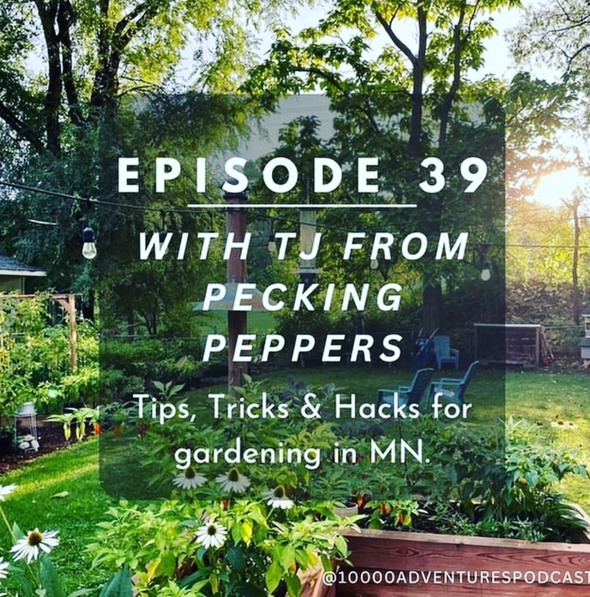 Was proud to be apart of the @10000adventurespodcast this past week to talk about gardening. Great perspective on what&rsquo;s happening now in the Twin Cities and how you can find your next Minnesota Adventure! Always hear about something new and I 