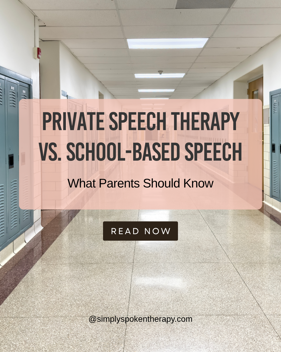 Private sPEECH THERAPY VS SCHOOL SPEECH THERAPY