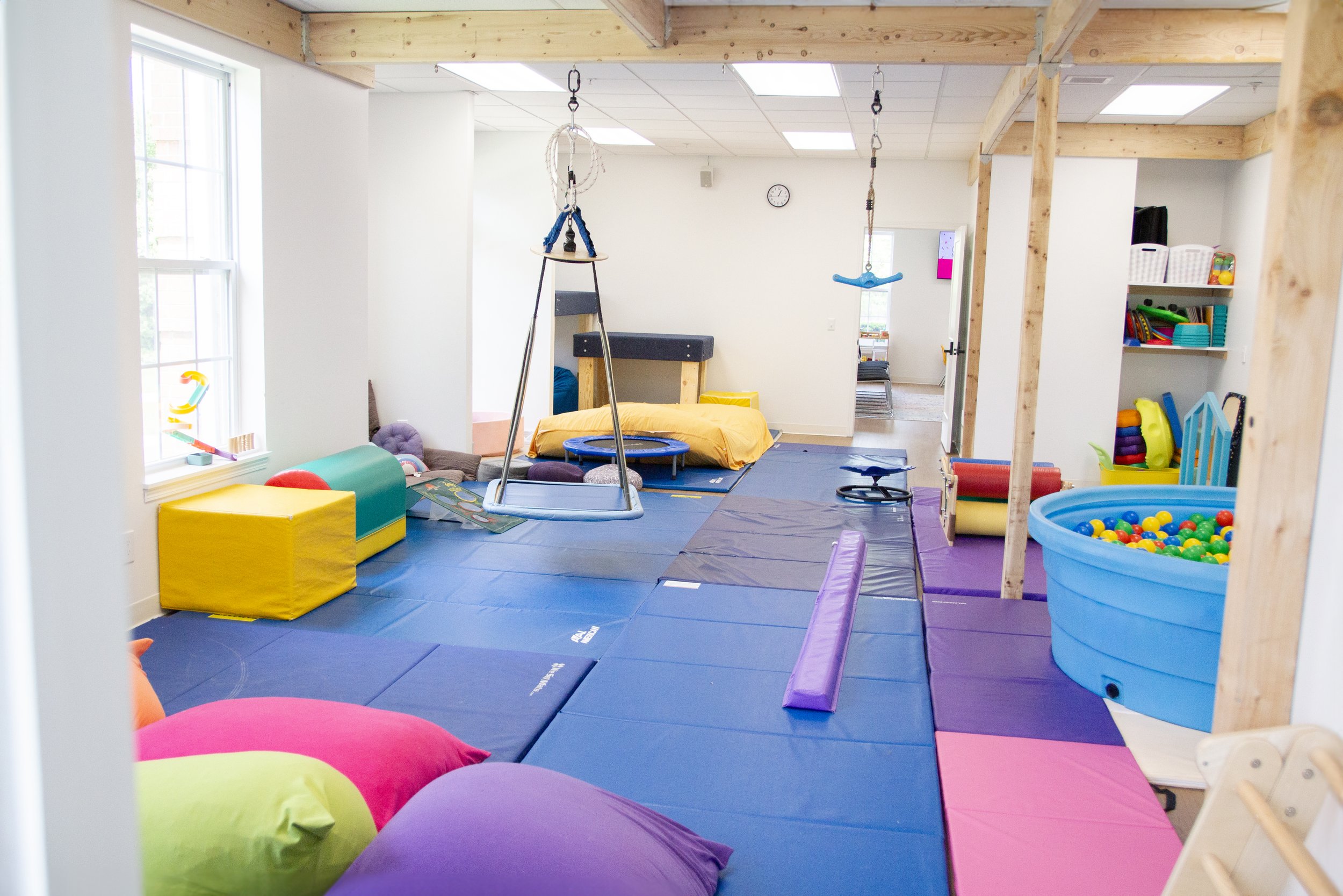 Sensory gym swings and platforms