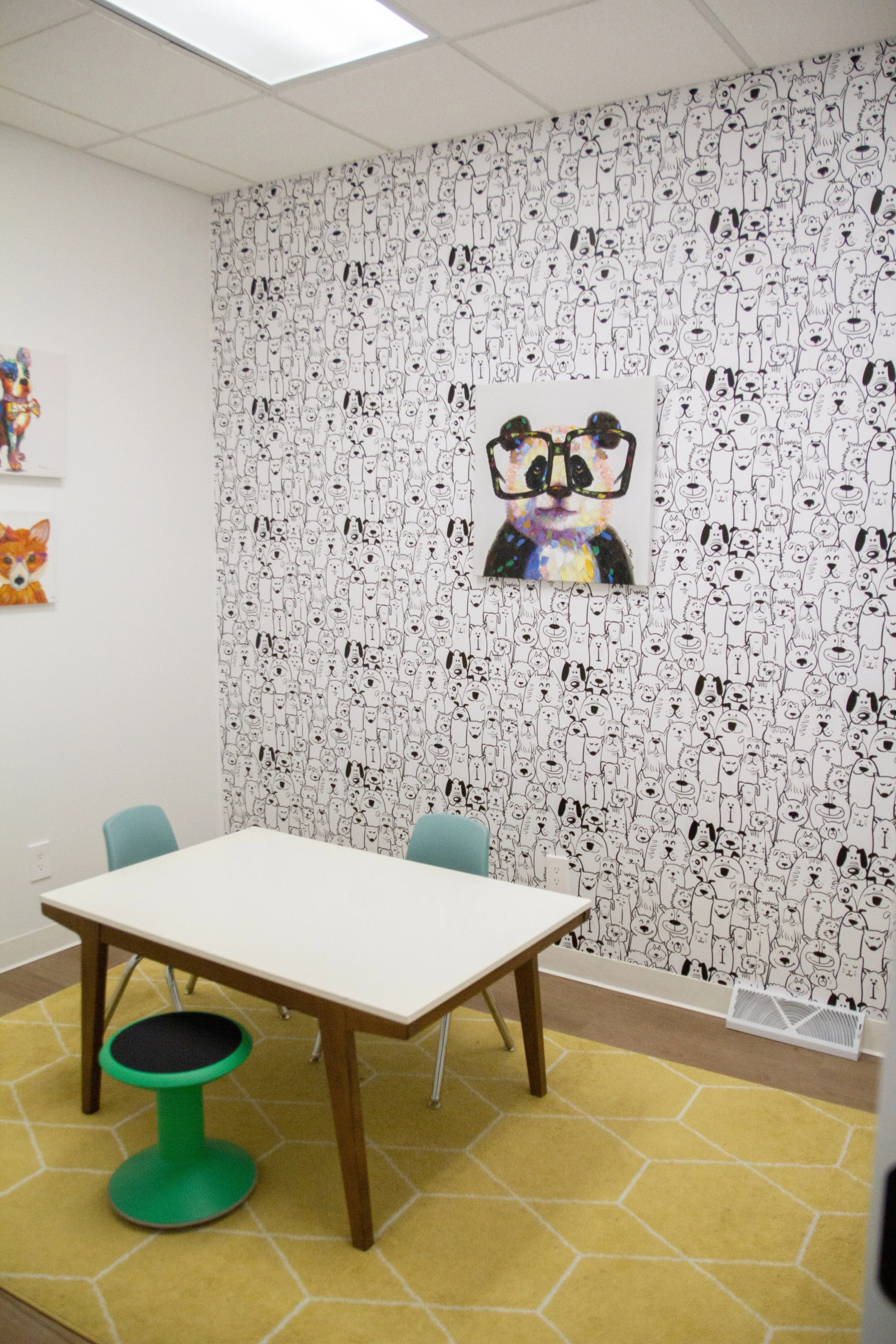 Dogs and cats treatment room
