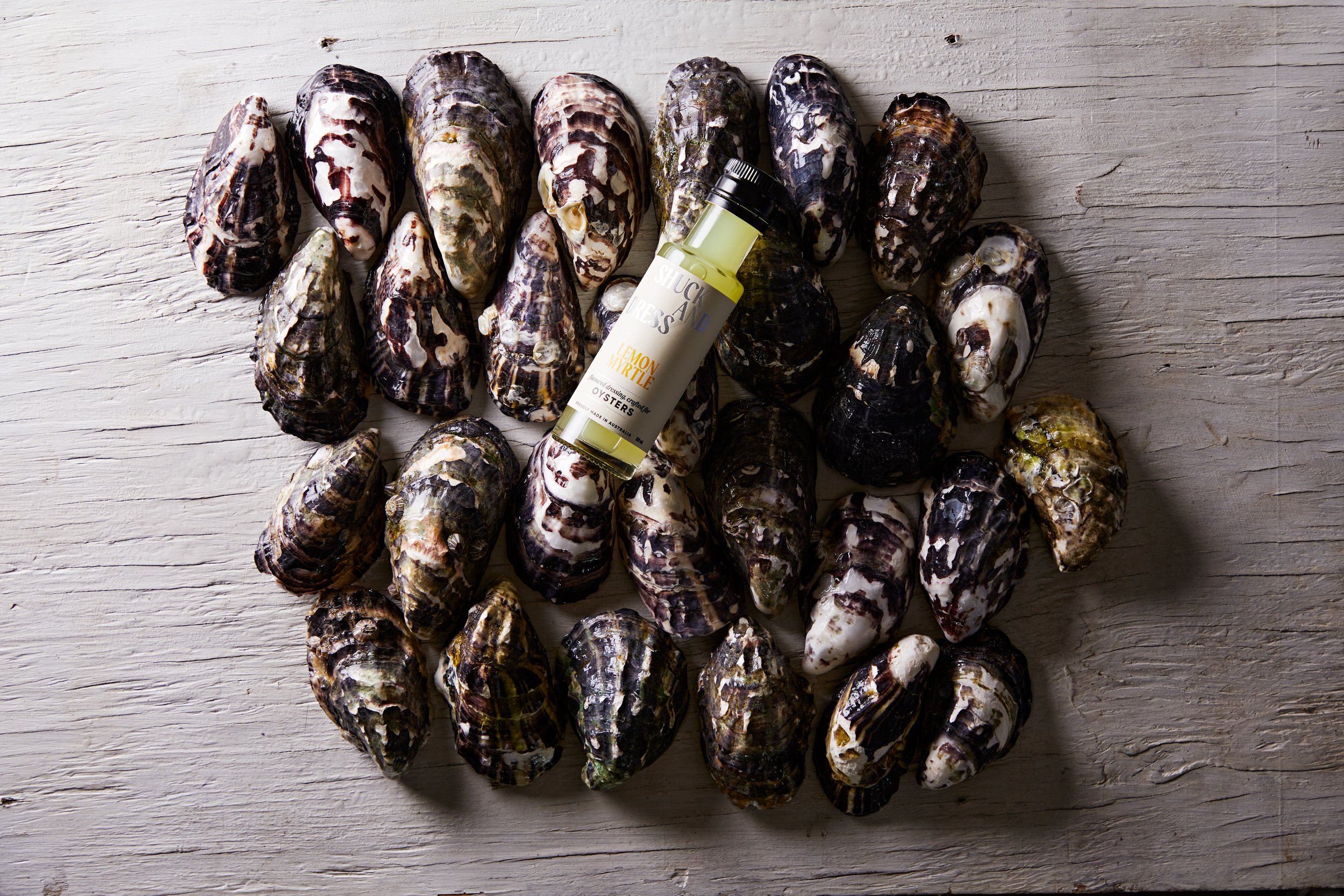 Shuck&Dress_08.08.25_185.jpg