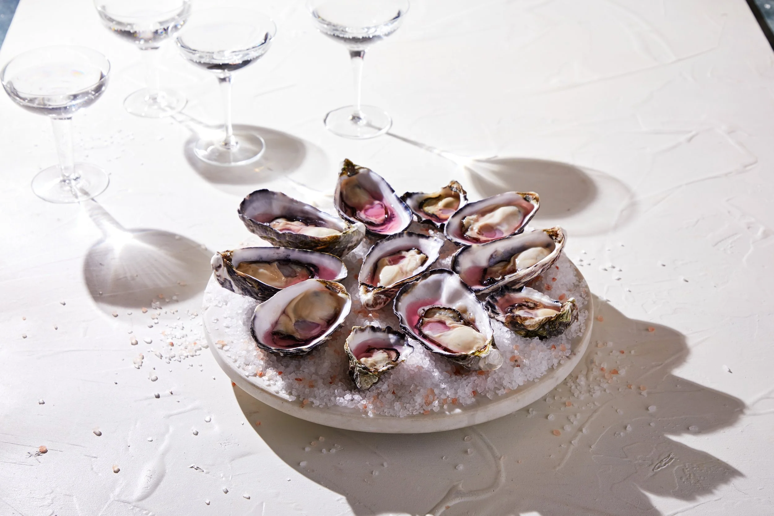 Shuck&Dress_08.08.25_67.jpg