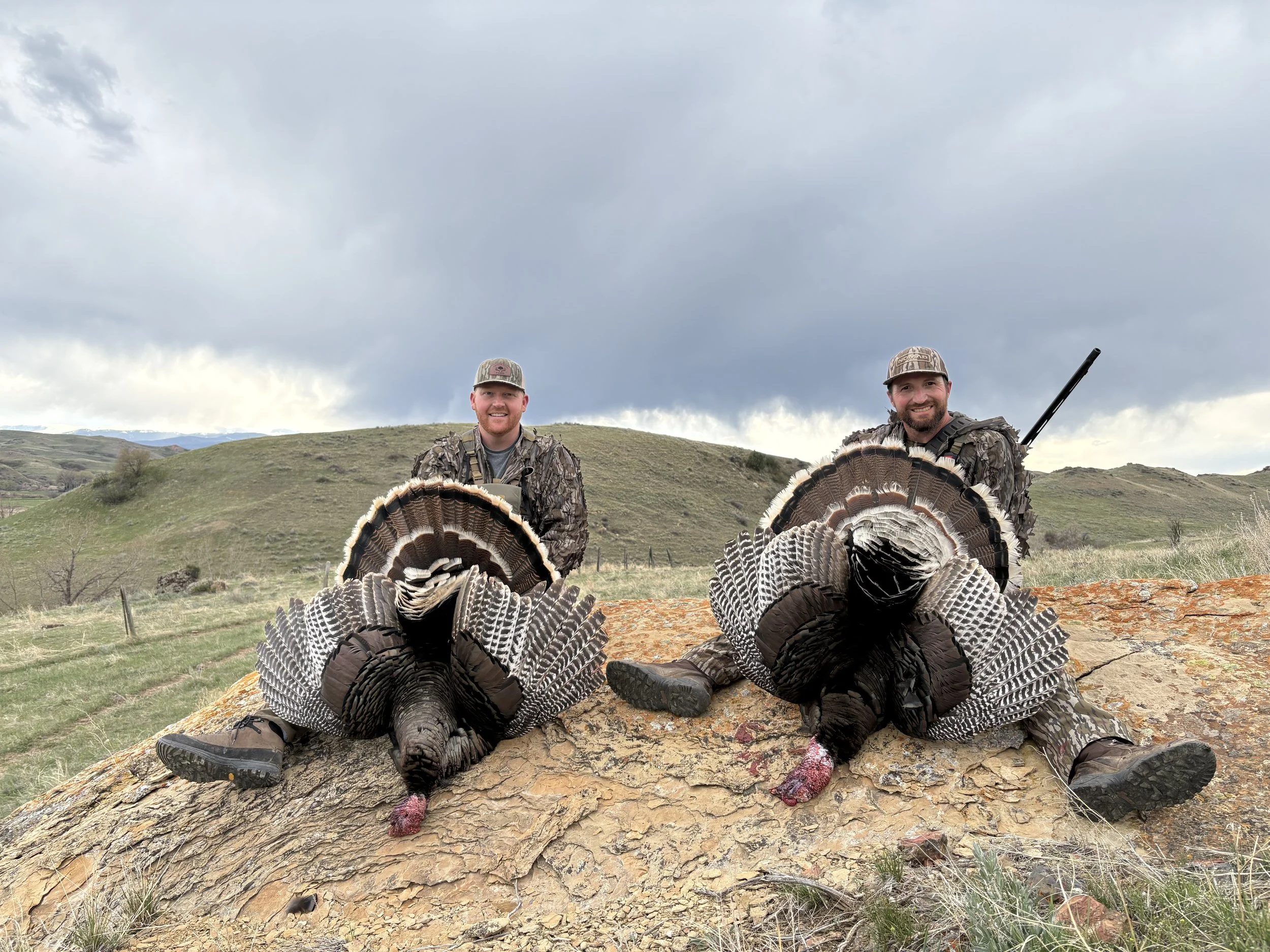 Merriam Turkey Hunts Book Your Merriam Turkey Hunt Today —