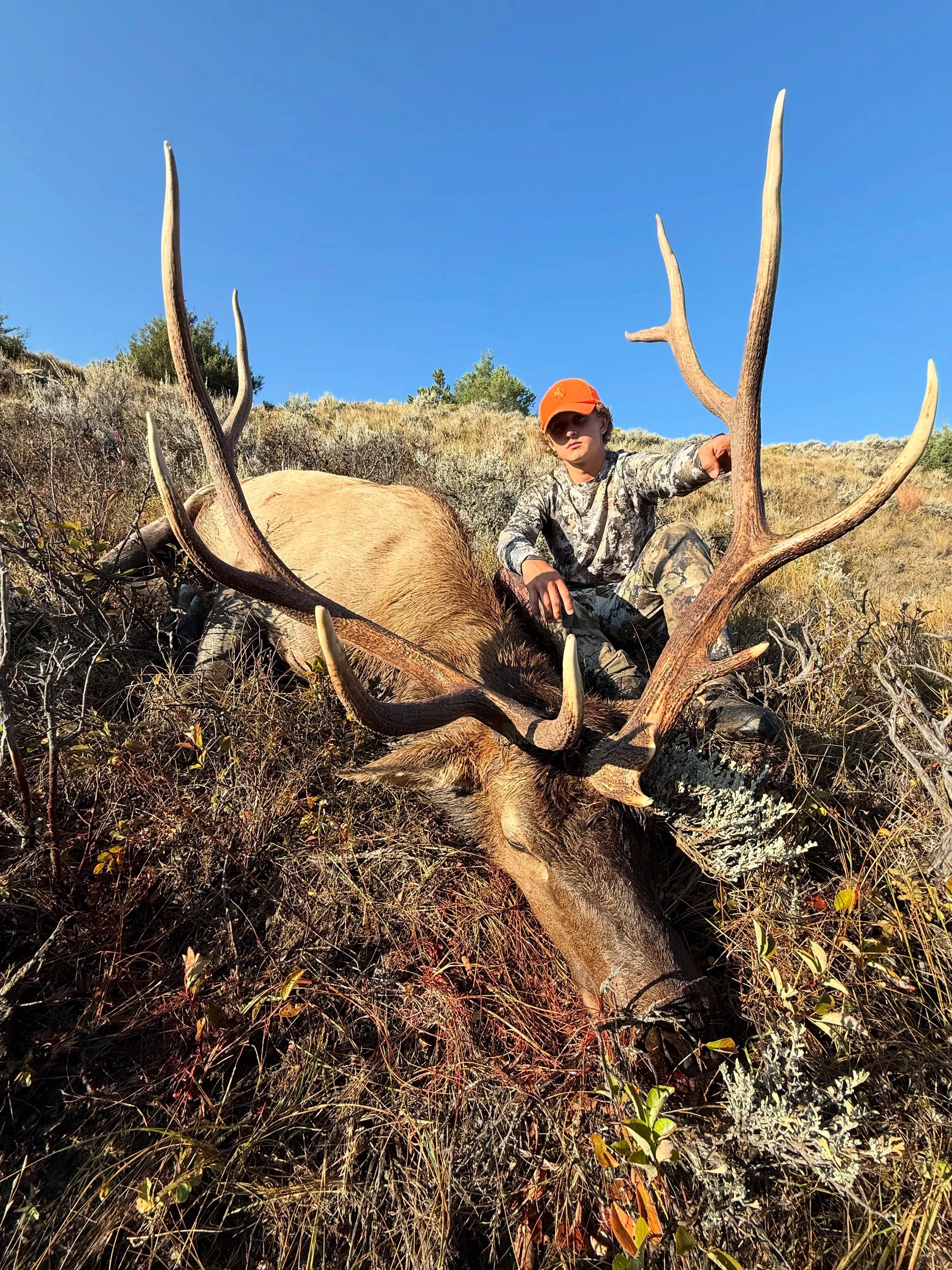 A young boy wearing camouflage clothing and an orange cap sitting on a harvested elk with large antlers in a dry, grassy field under a clear blue sky.