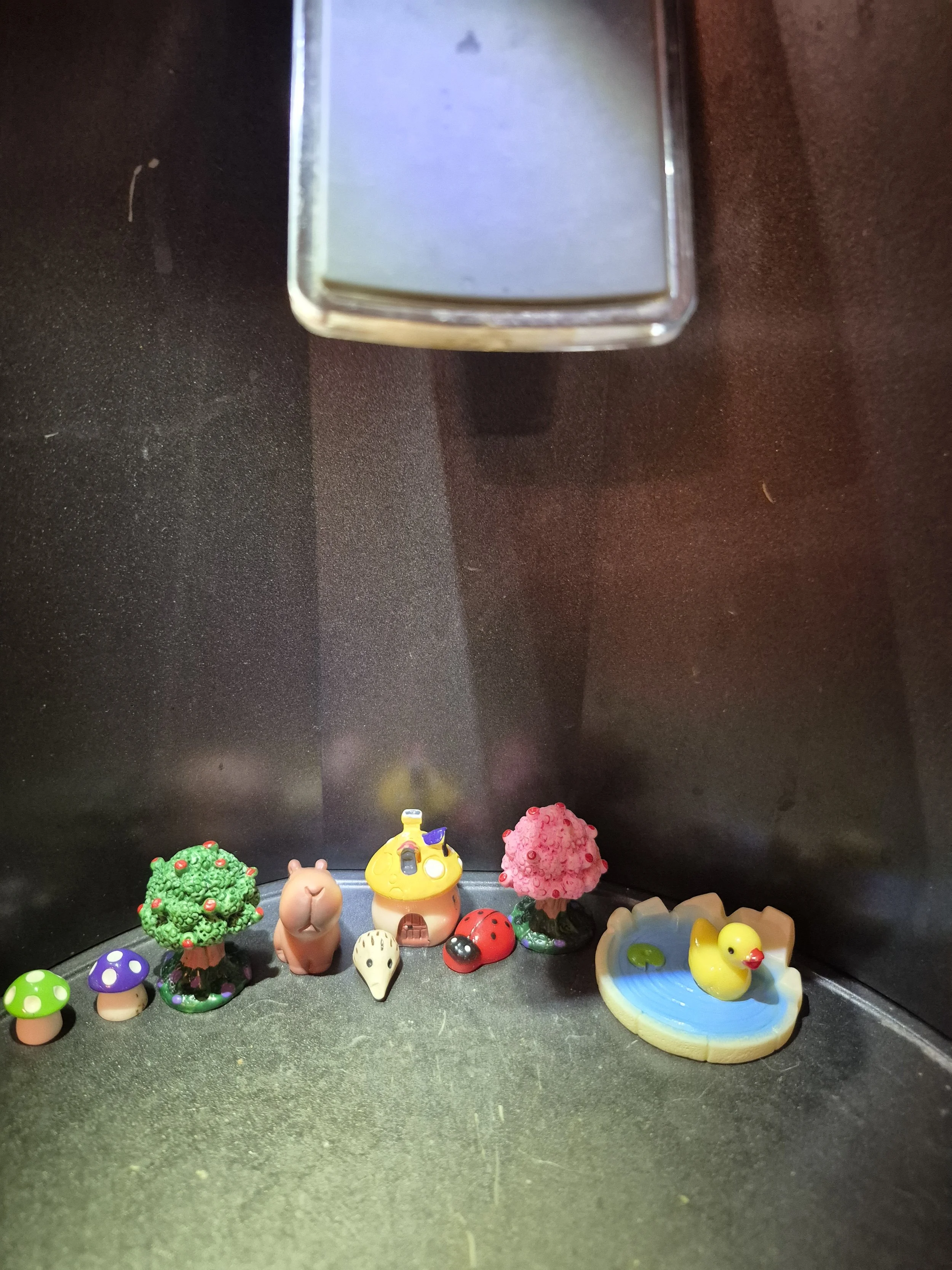 collection of little friends sitting in fridge water compartment with miniature handmade hedgehog by Liza in asheville nc