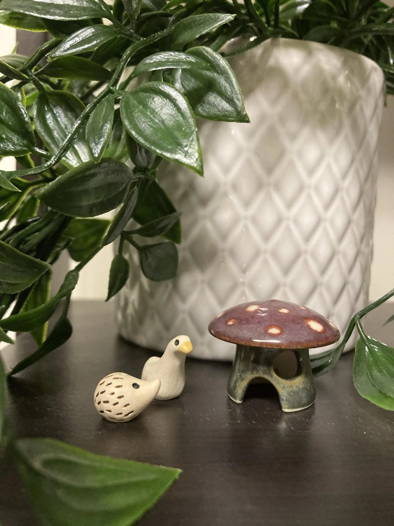 FB - Sharon Quackenbush.jpeg