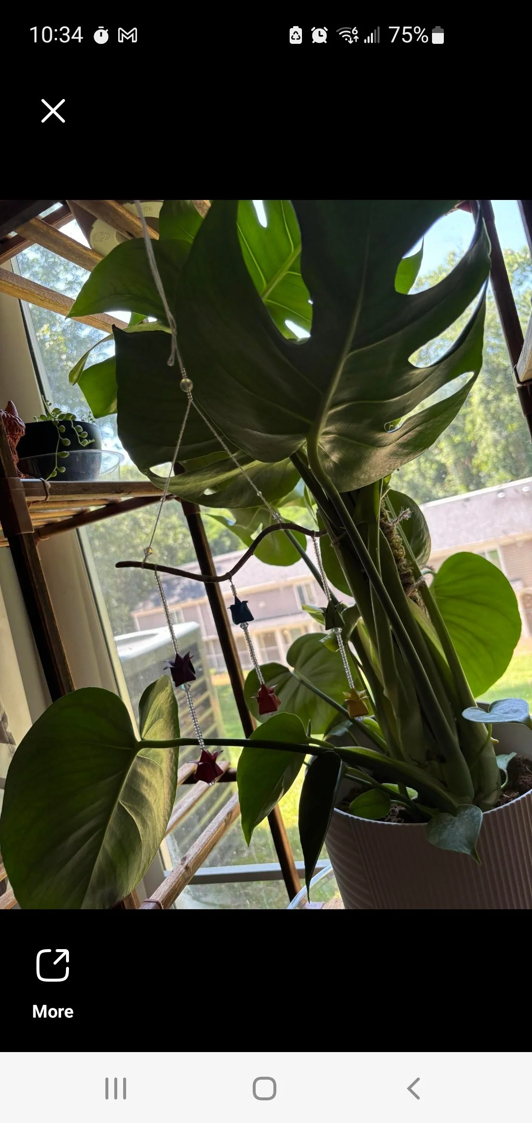 origami mobile hanging from a plant, plant jewelry