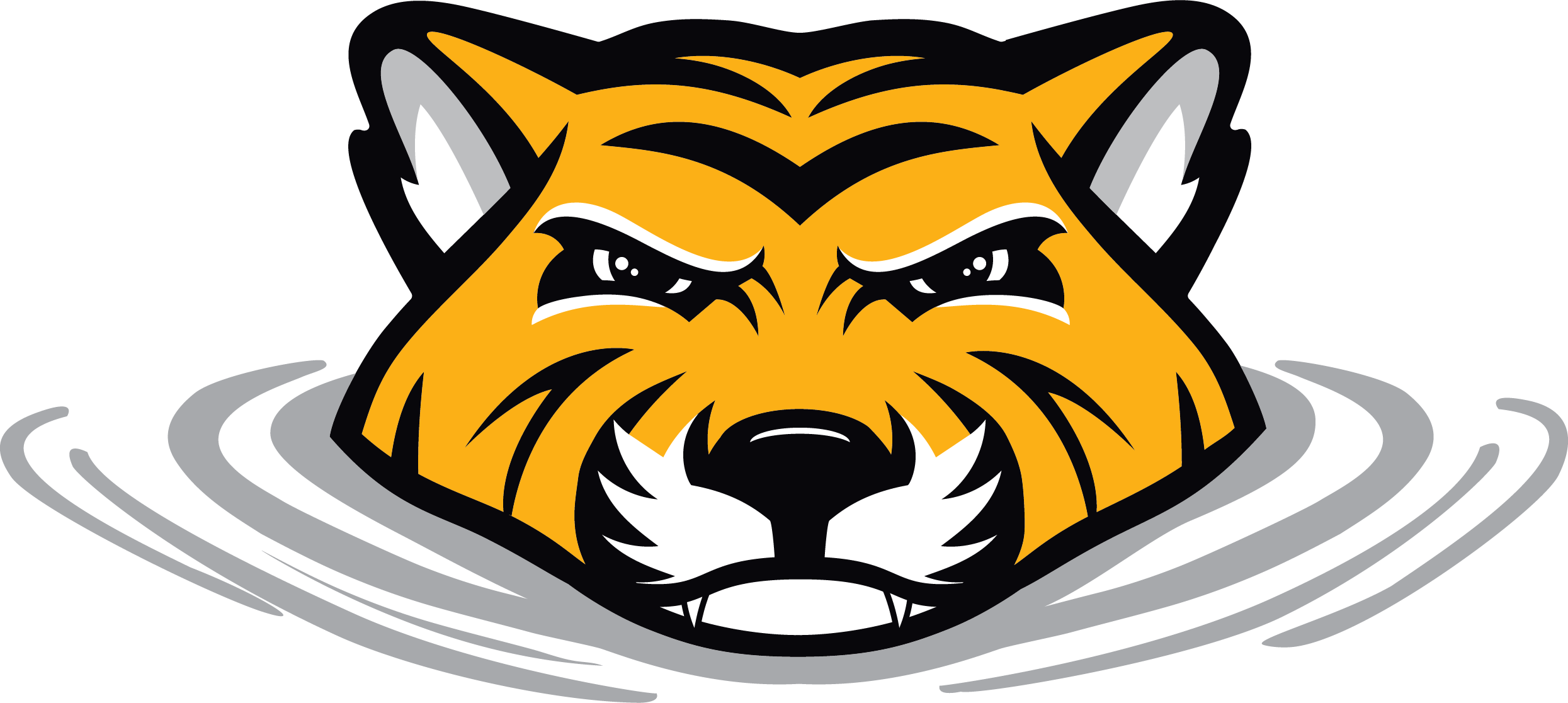 North Allegheny Swim Team logo