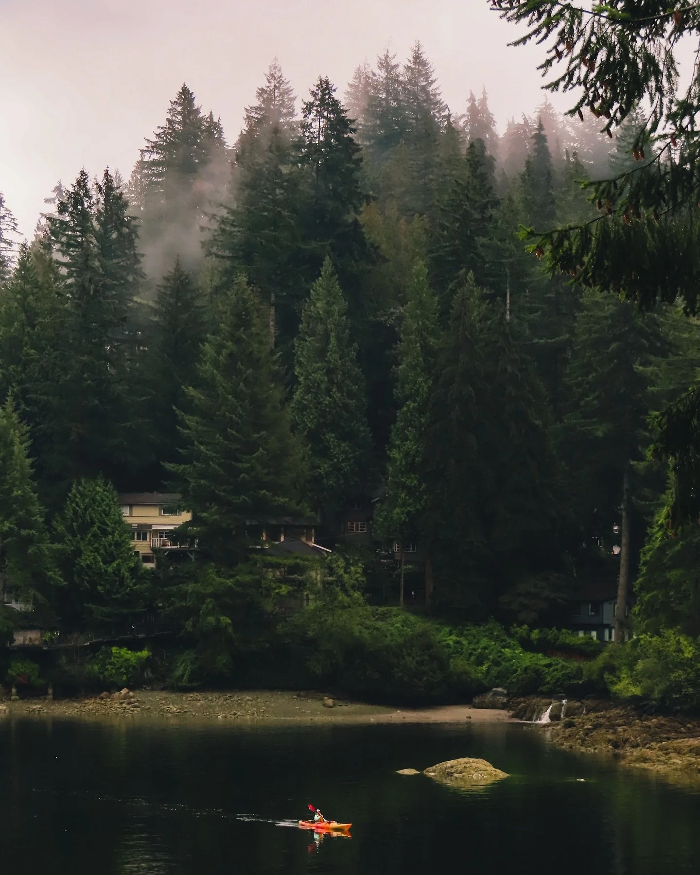 #NorthVancouver Deep Cove 🌲📸📍 
My husband is in love with any type of donuts, so obviously we have tried so many donuts around different places, BUT @honeysdoughnuts are definitely our number 1 🍩🍯🐝🐻. They are so so PERFECT and DELICIOUS! Defin