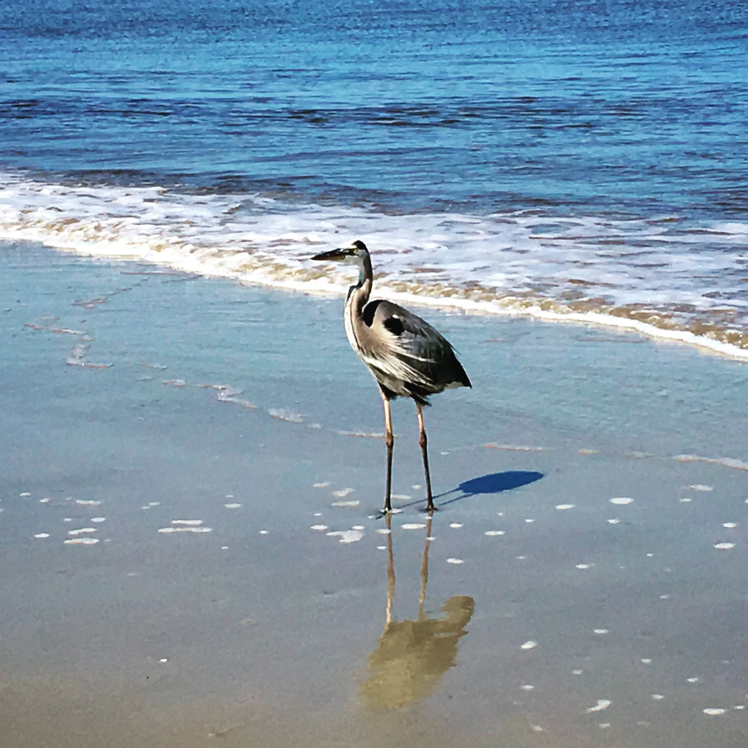 5 Ways to Be Fully Present on Your Next Trip