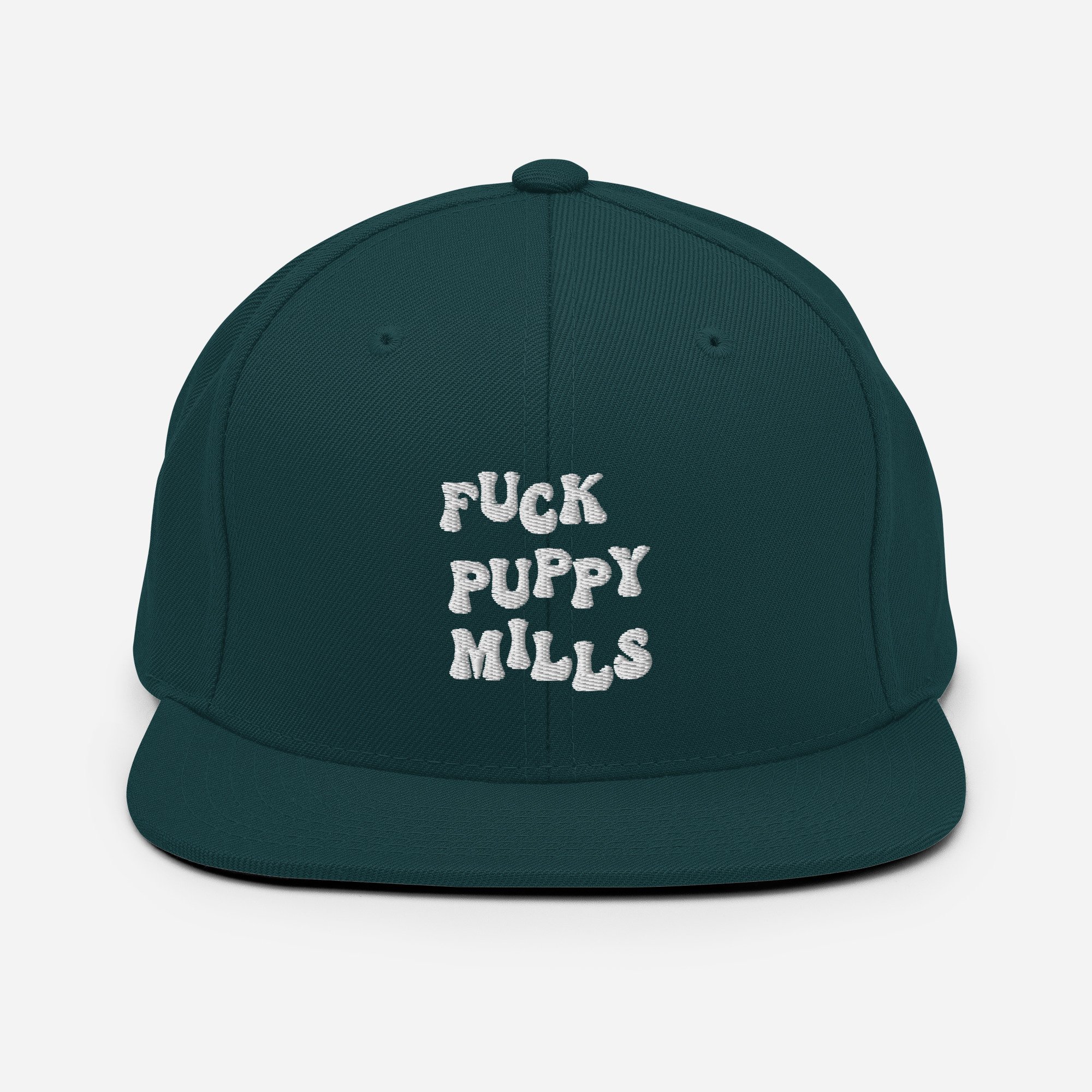 classic-snapback-spruce-front-65cb9f4bd1b00.jpg