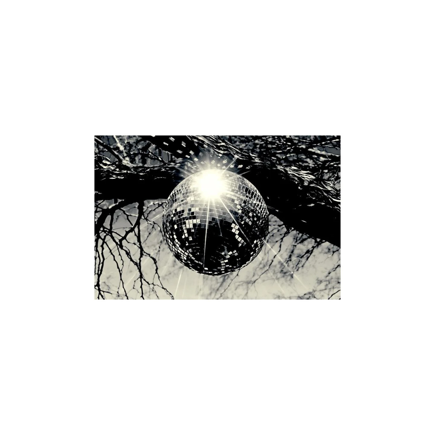 More Joshua Tree, California visuals. This will be available for prints soon ✨