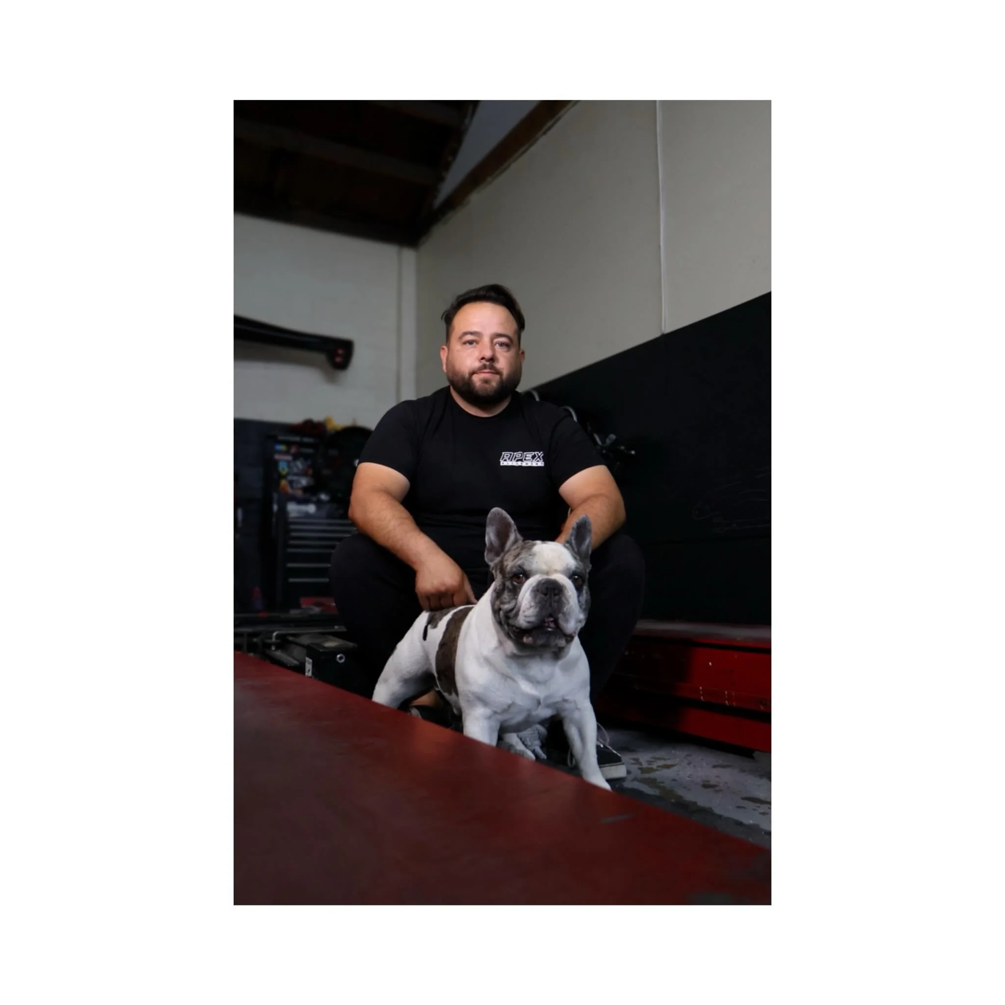 PET PORTRAITS but make them business 🔥