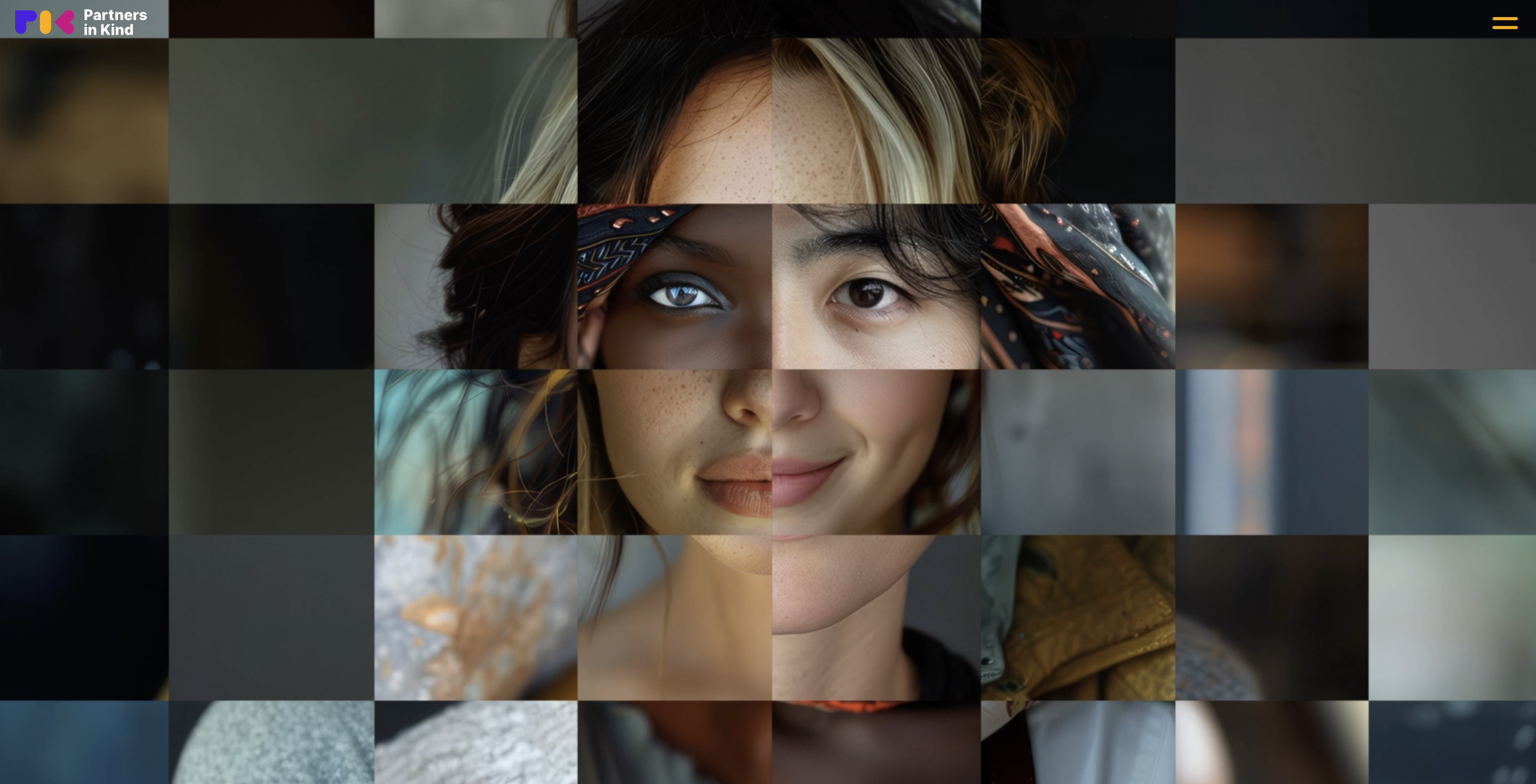 Partners in Kind Productions