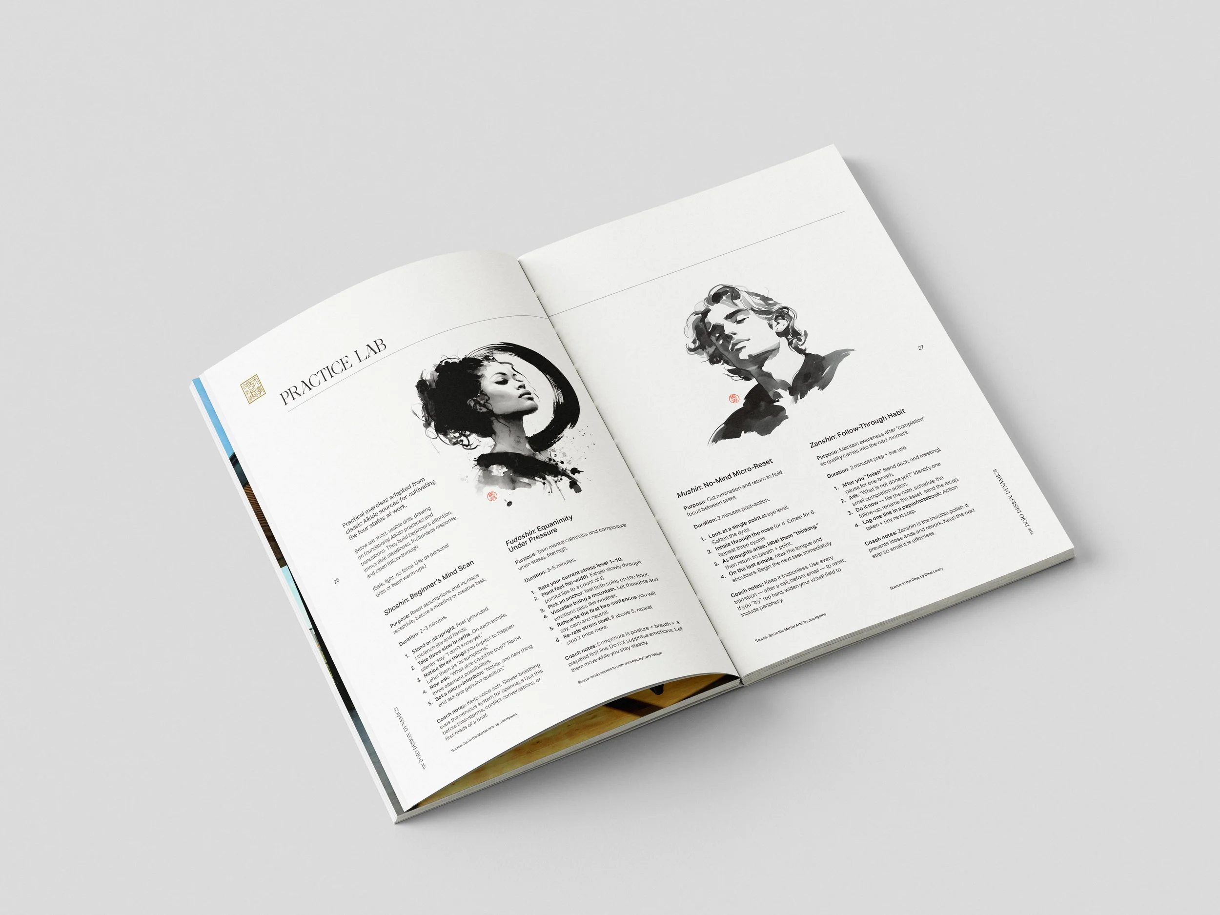 DojoDesignDynamics_Book_Mockup_6a.jpg
