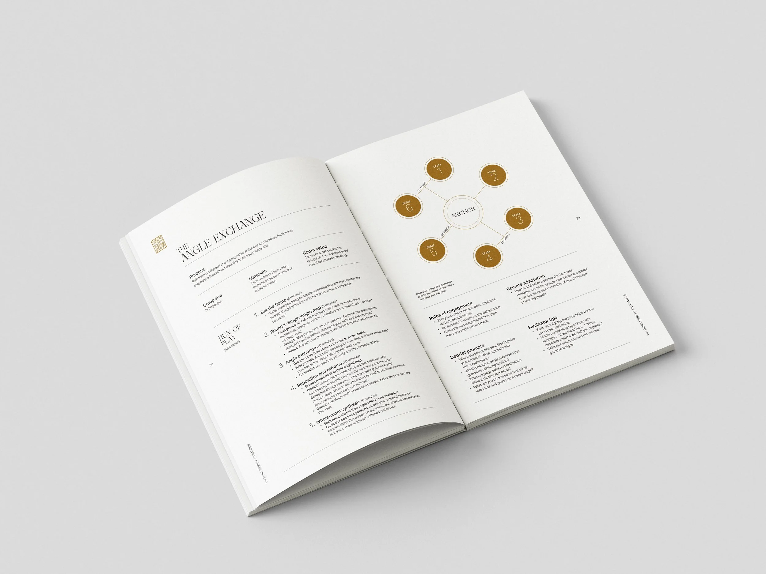 DojoDesignDynamics_Book_Mockup_6b.jpg