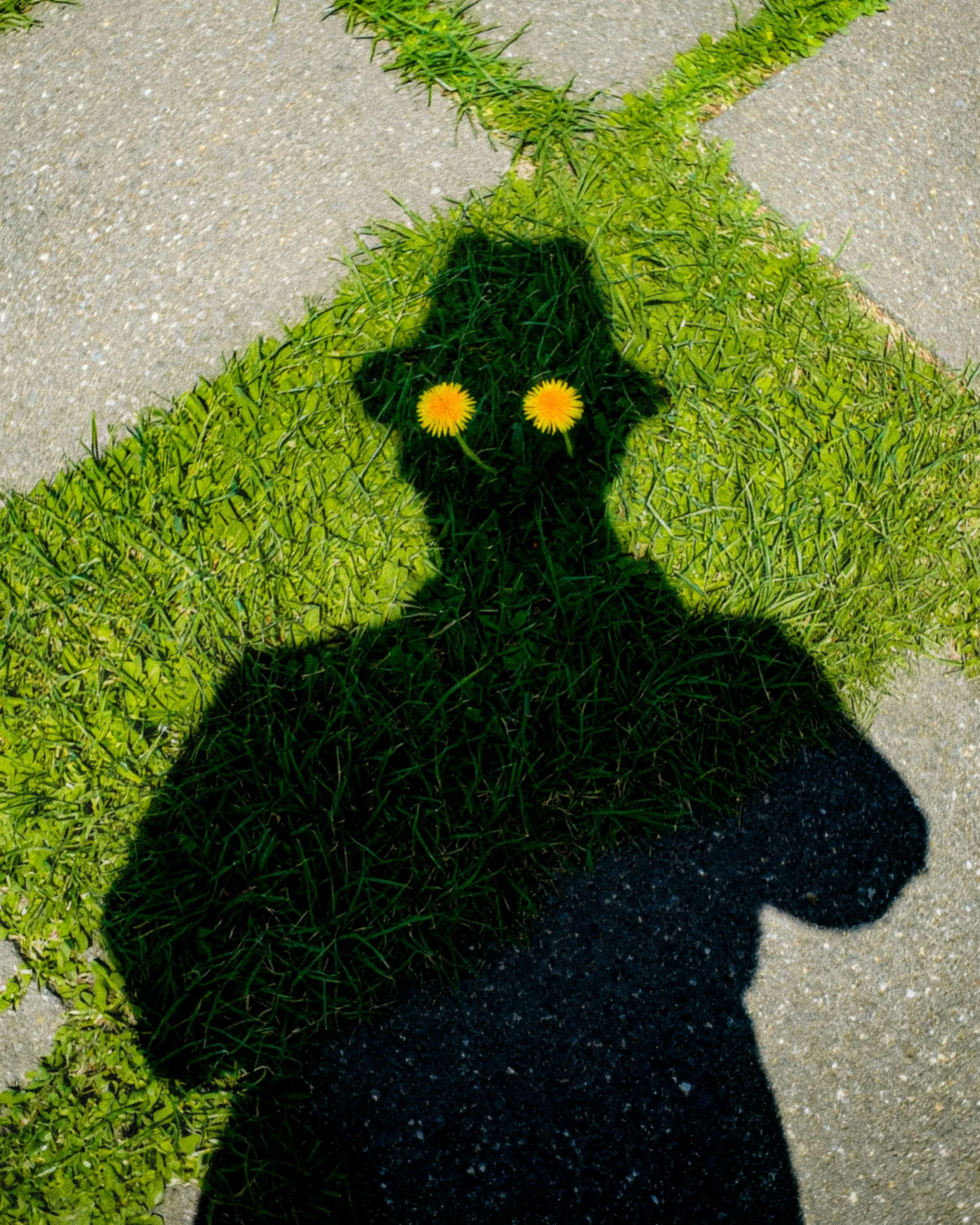 The Knowledge AI Can’t See