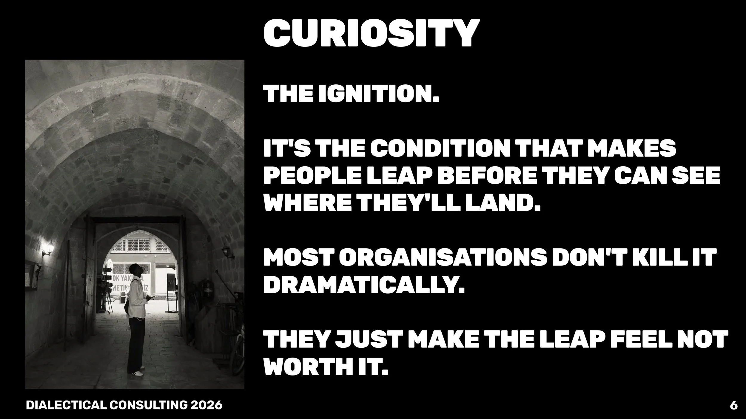 The Human Native Framework Dialectical Consutling_page-0007.jpg