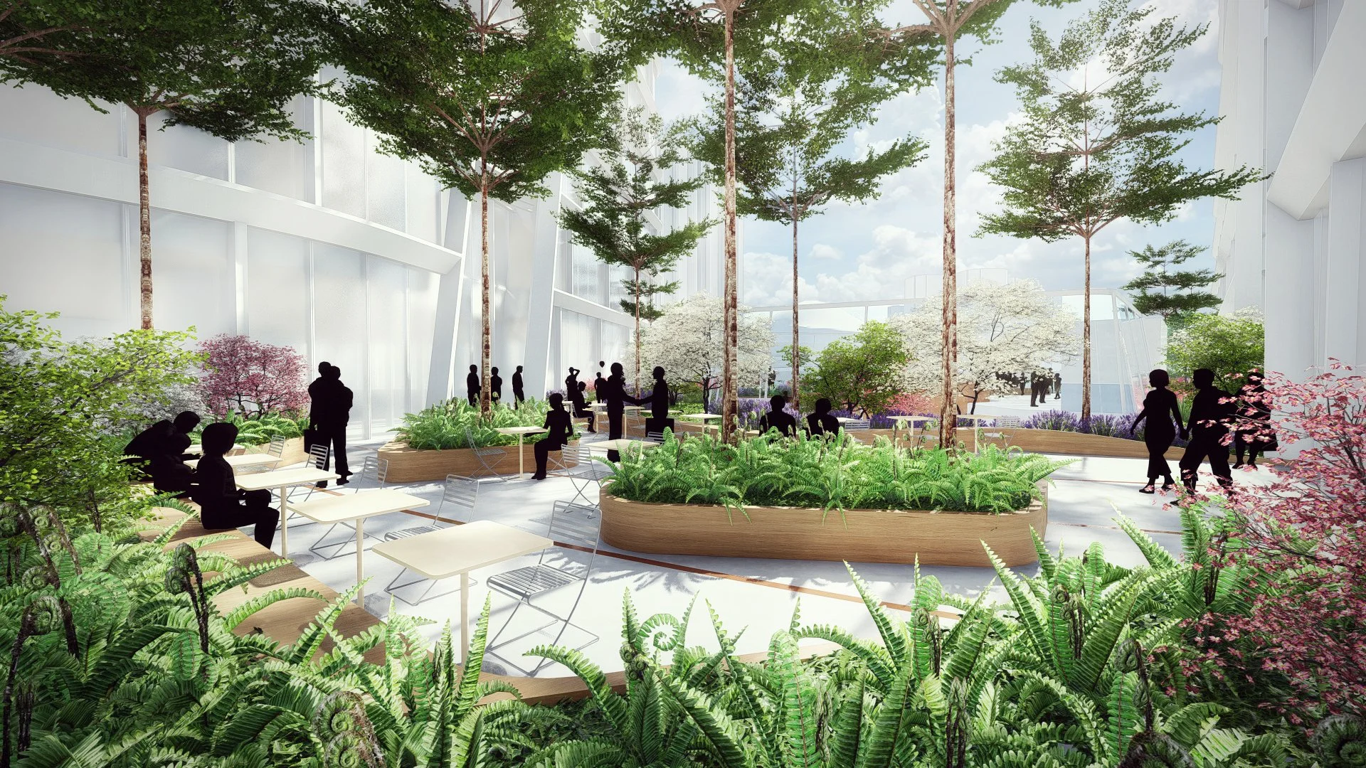 XRL Crossing View 2.jpg