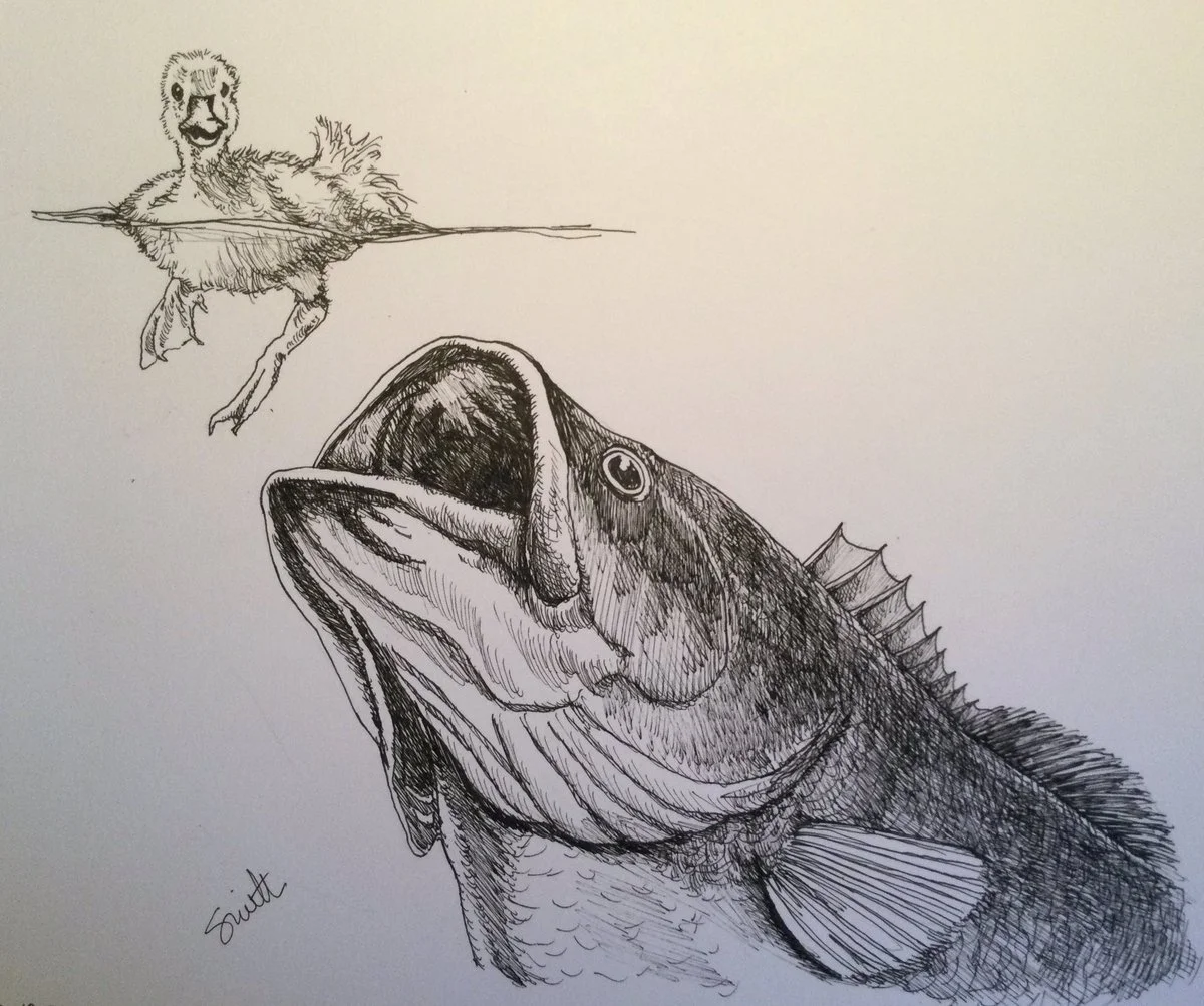 How to Fish a Bird Lure for Bass