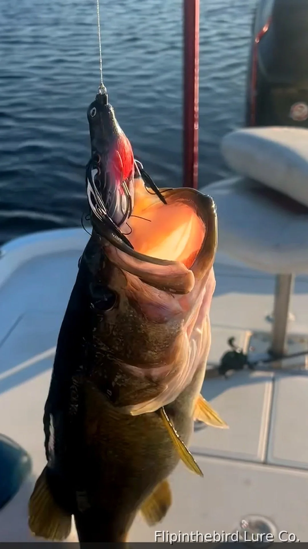 Why Bass Eat Birds (The Science Behind Topwater Strikes)