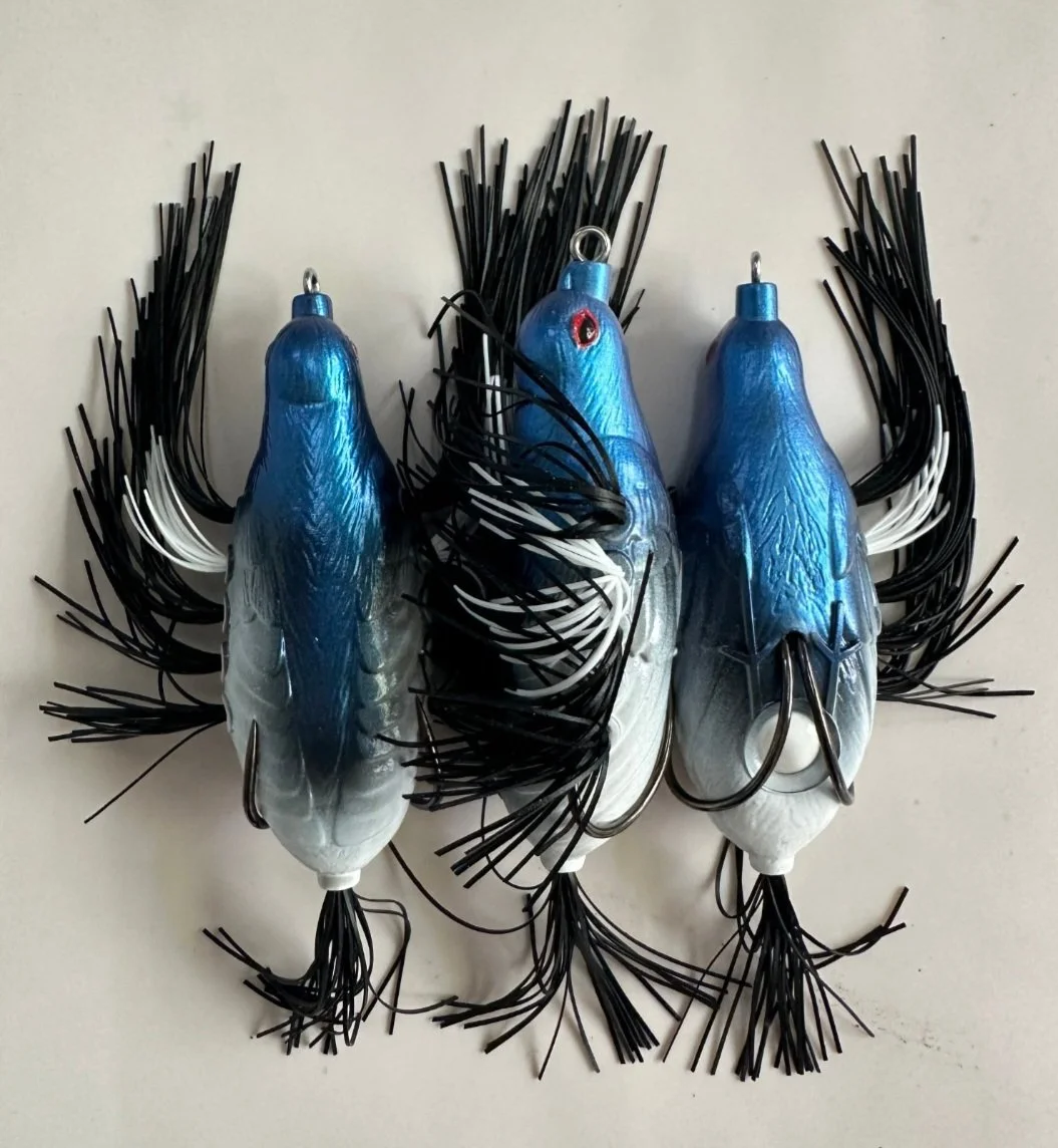three little birdswhitebreasted.jpg