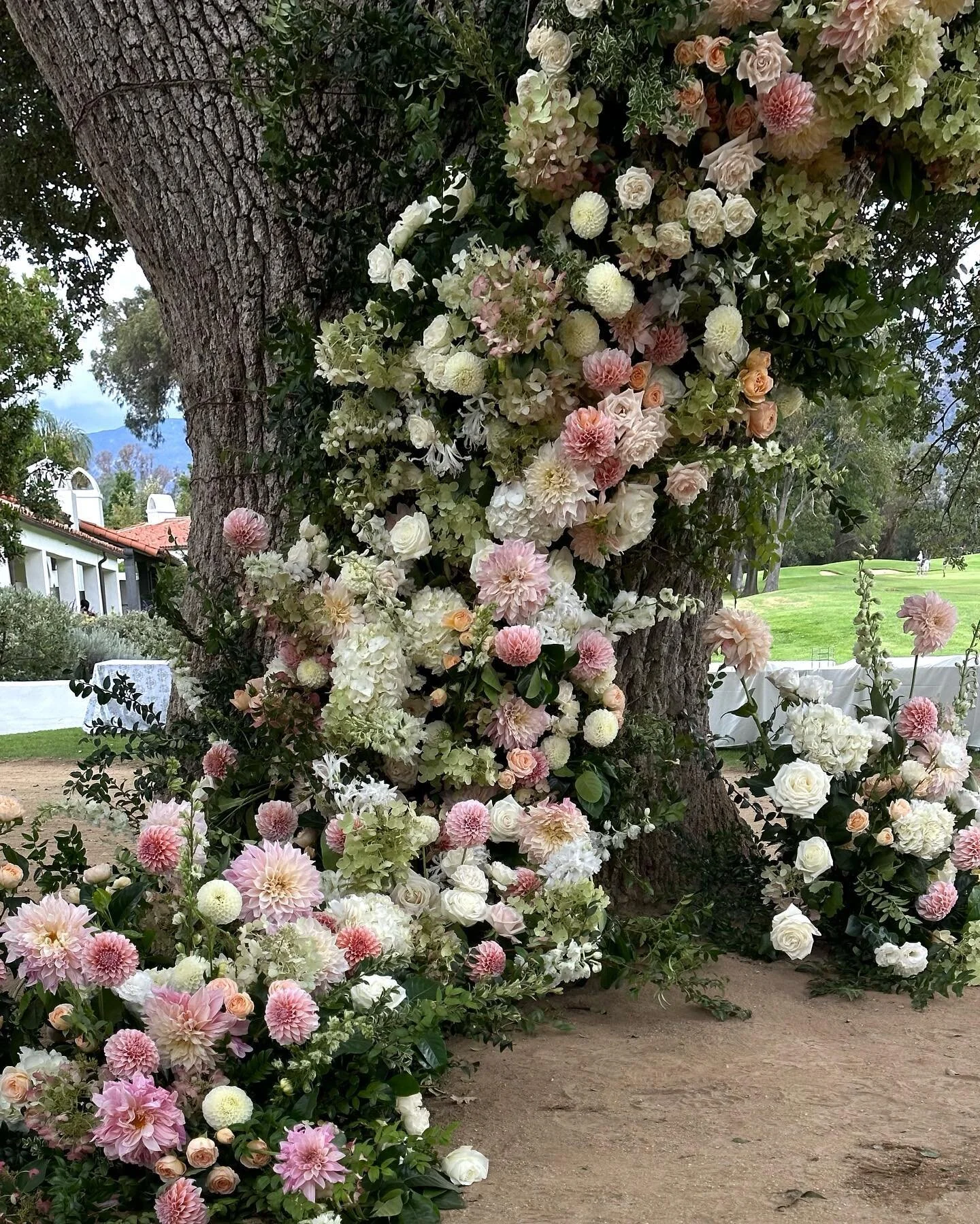 Dreamy ceremony for S &amp; A in Ojai last weekend

Thank you @pigsty for having us on your team
Venue: @ojaivalleyinn
.
.
.
.
.
#floristlosangeles #selectumflowers #flowertablesetting #flowerslosangeles #flowerdesignlosangeles #weddingflowers #ojaiv