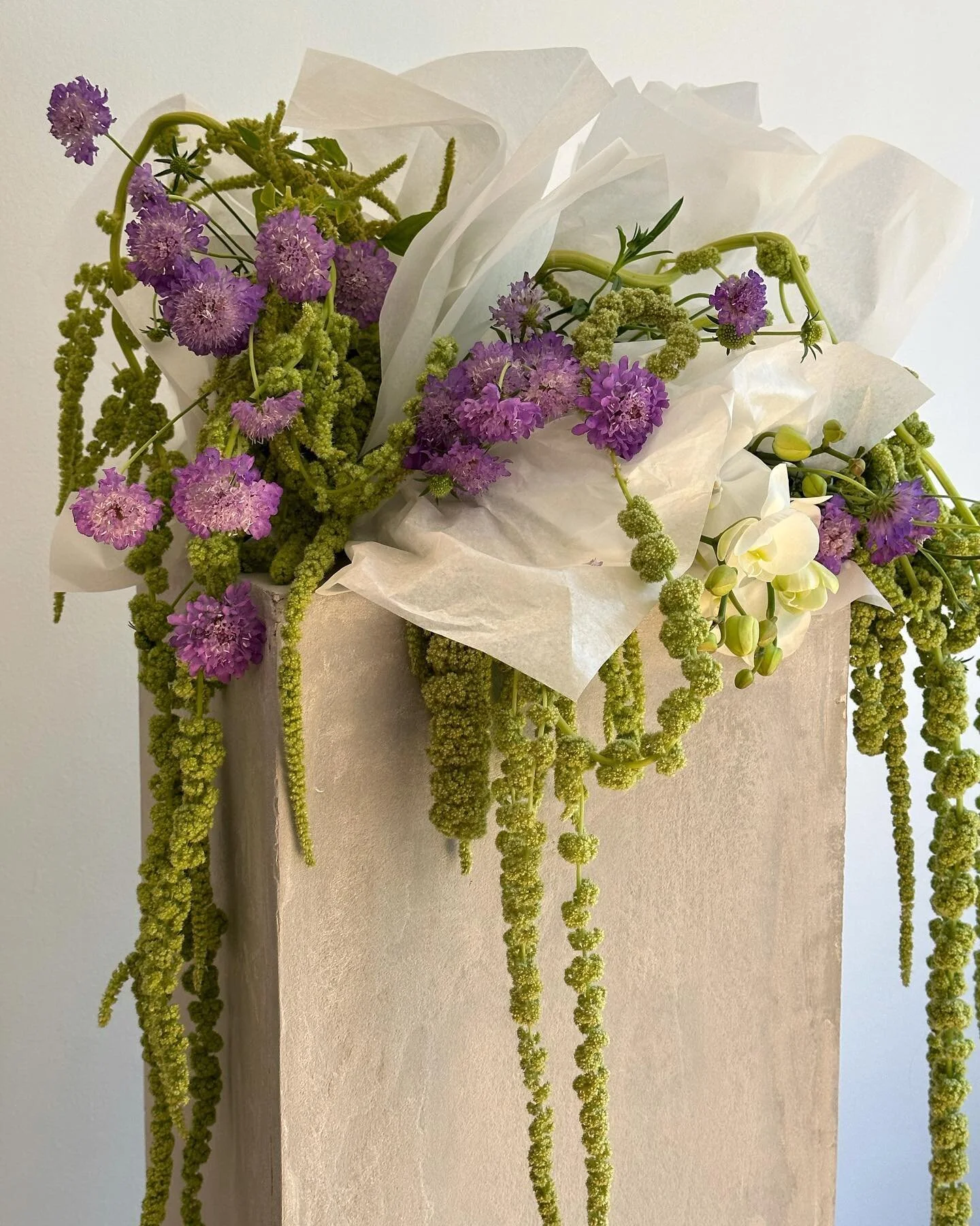 Weekly bunches for @urbanic