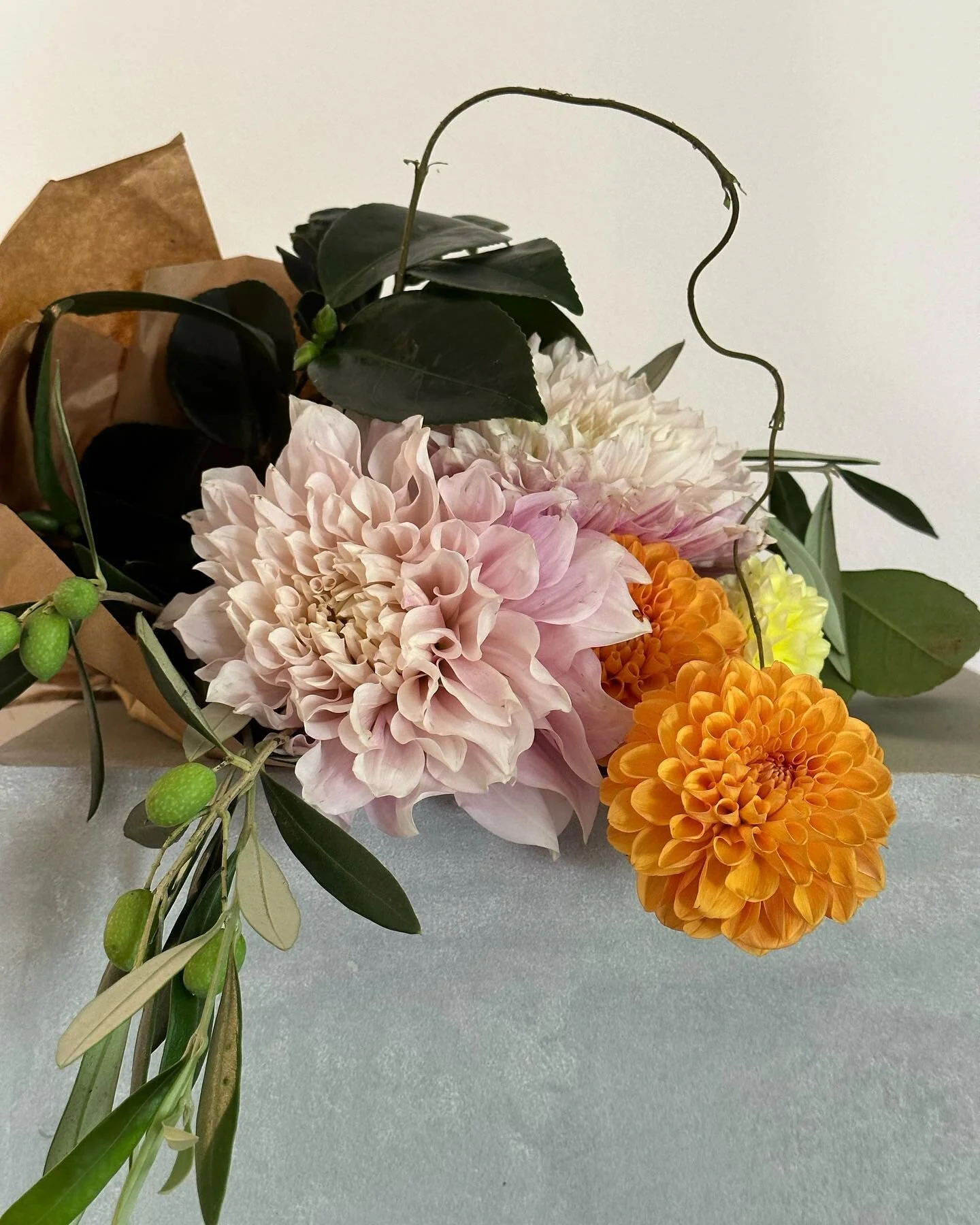 Olives and dahlia for @urbanic
.
.
.
#losangelesflorist #flowerslosangeles #flowerarrangement #flowerdesign #losangelesflorist