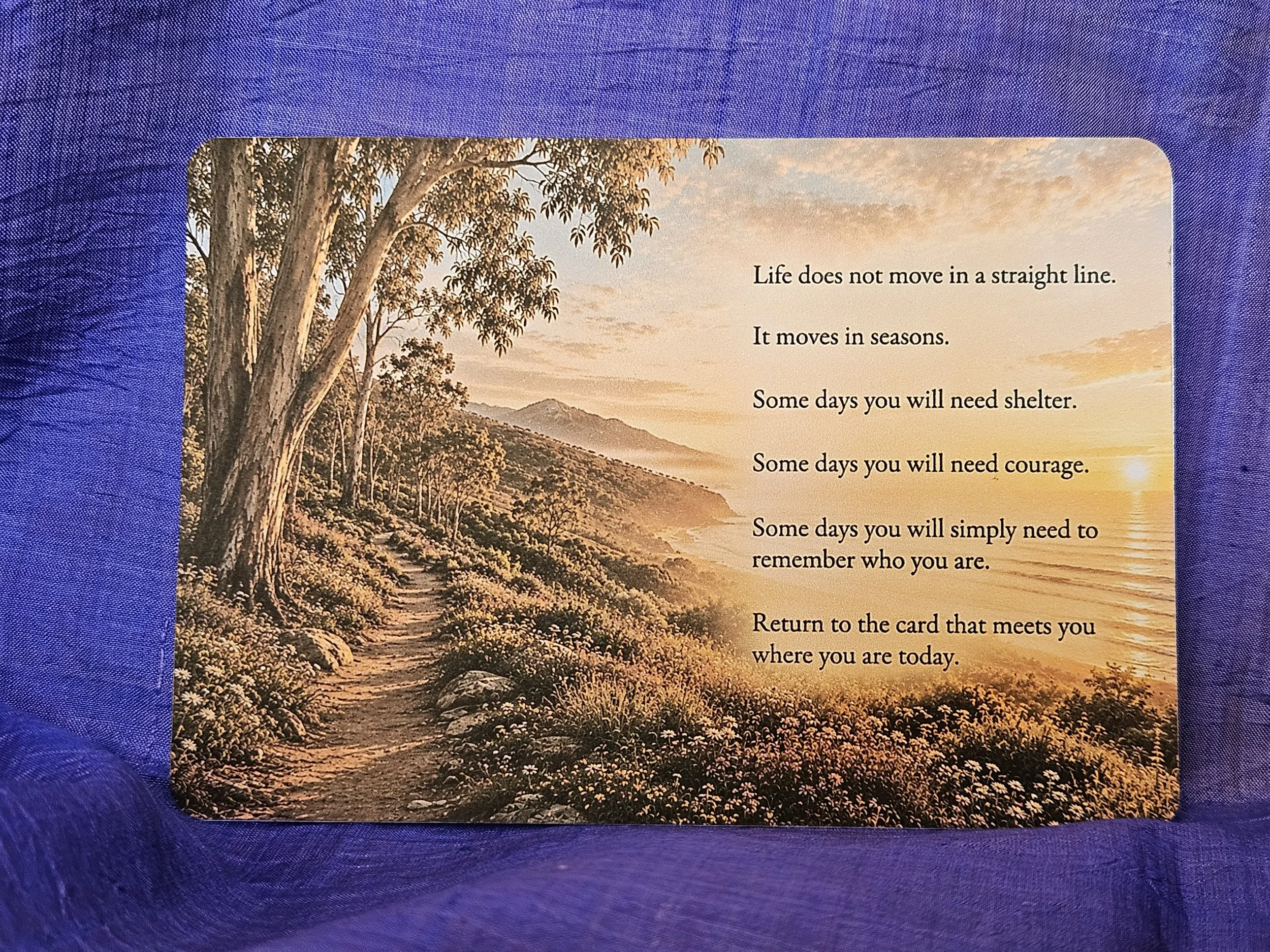 The Seasons Collection