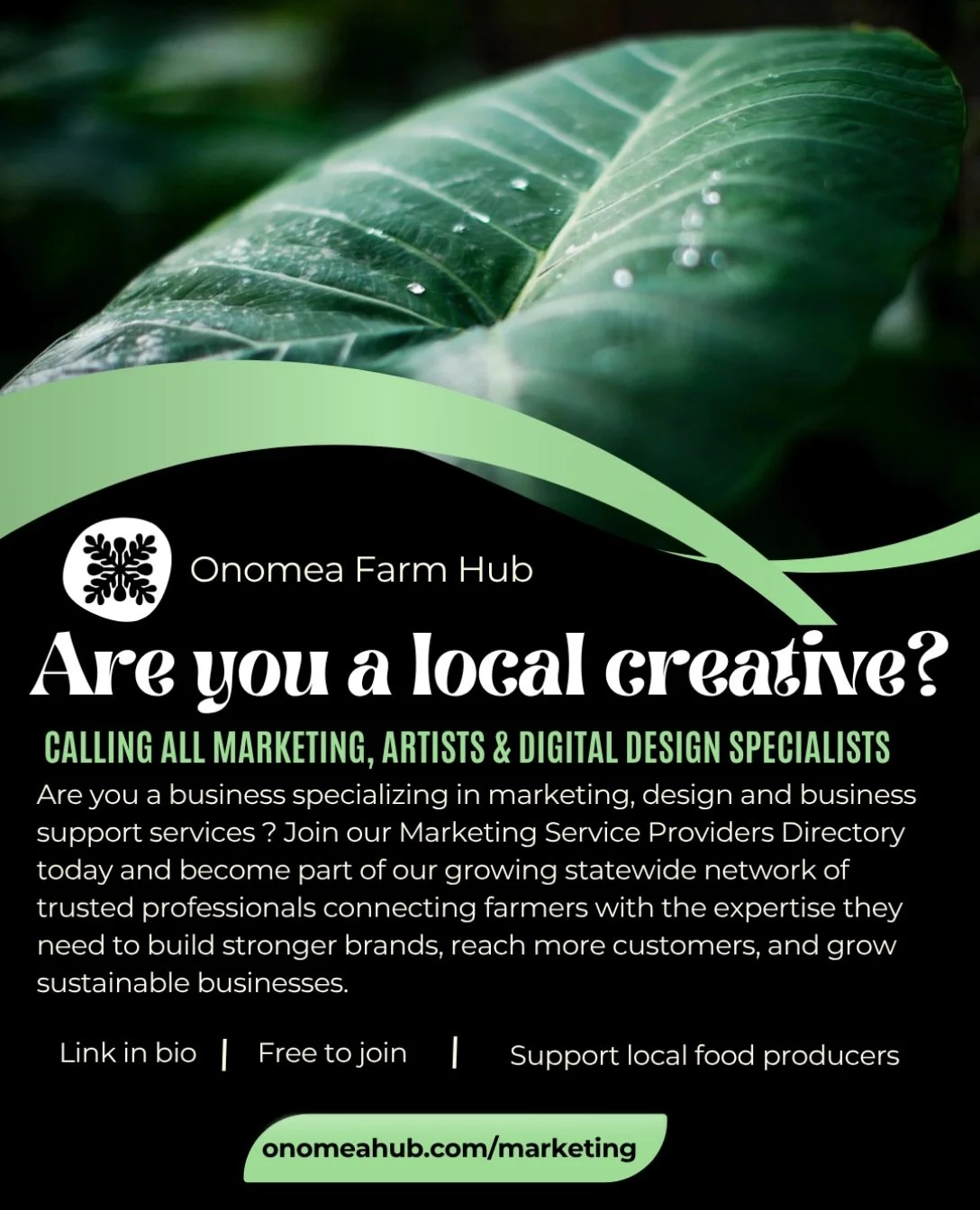 Help Hawaiʻi farmers thrive! 🌱

Are you a marketing, design, branding, photography, web, or business service provider? Join our growing Marketing Service Providers Directory and well connect you with local food producers looking for trusted experts 