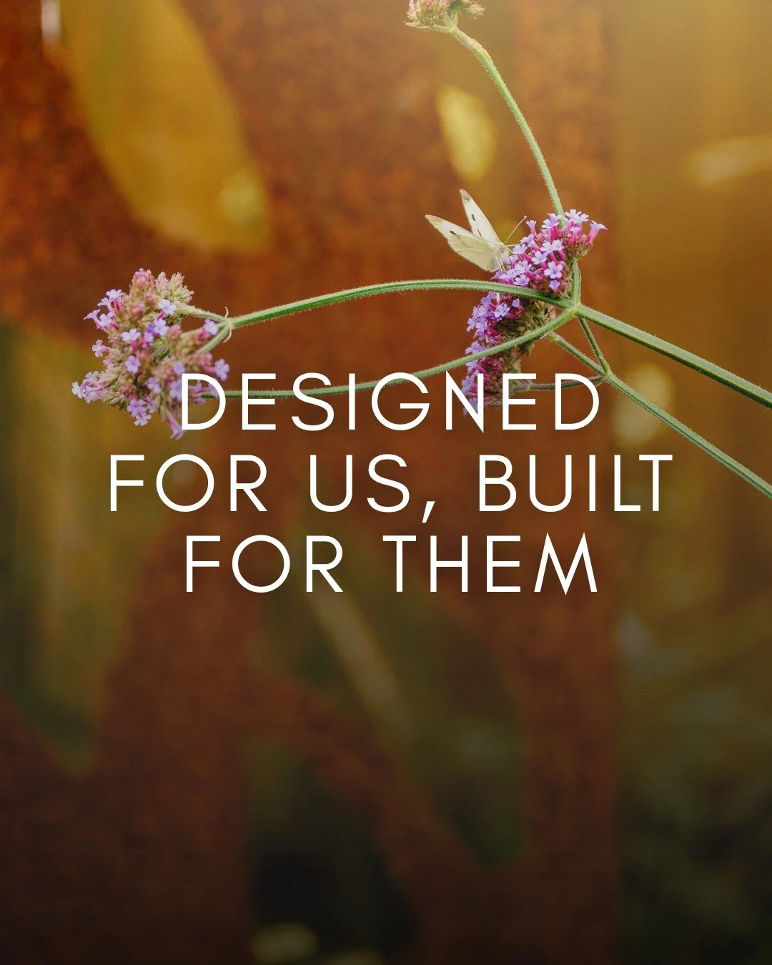 A lot of people focus entirely on the hard landscaping, but the planting is what gives a garden its heartbeat

We pack our borders with rich nectar plants like agastache, verbena bonariensis, and rudbeckia to make sure the space is buzzing with wildl