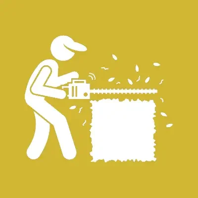 Garden Maintenance & Aftercare