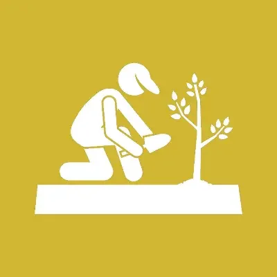 Planting Design & Soft Landscaping