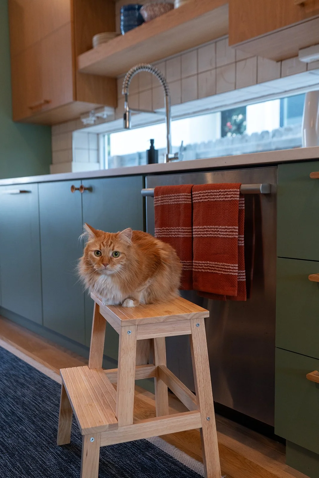 HG Berkeley House-37.jpg