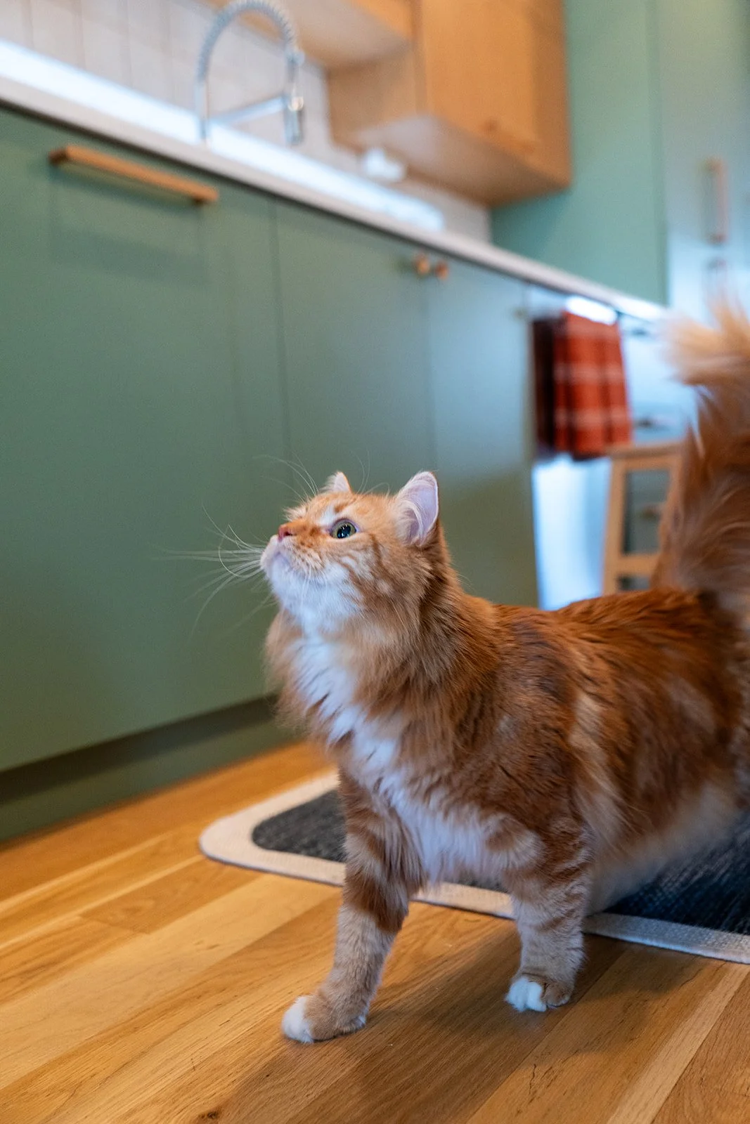 HG Berkeley House-74.jpg