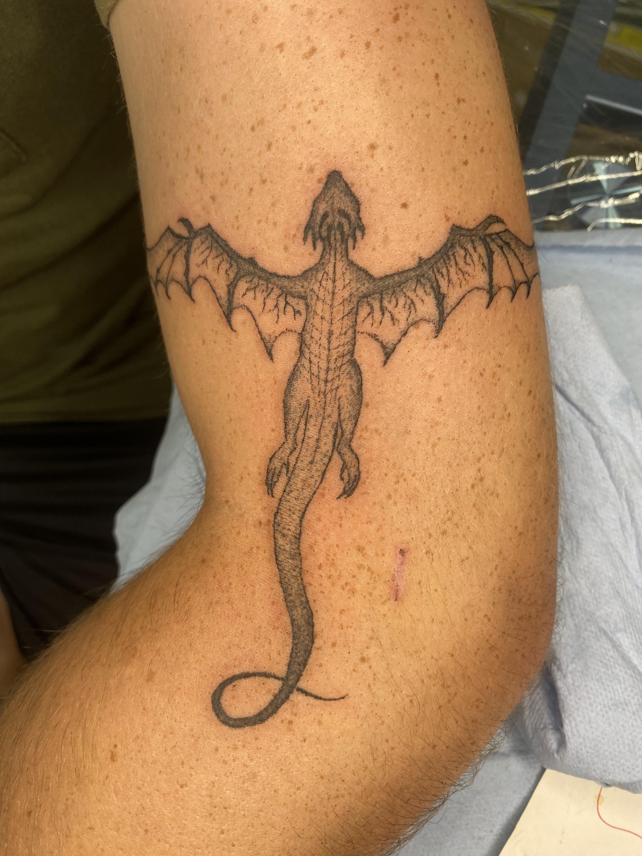 wyvern3.jpg