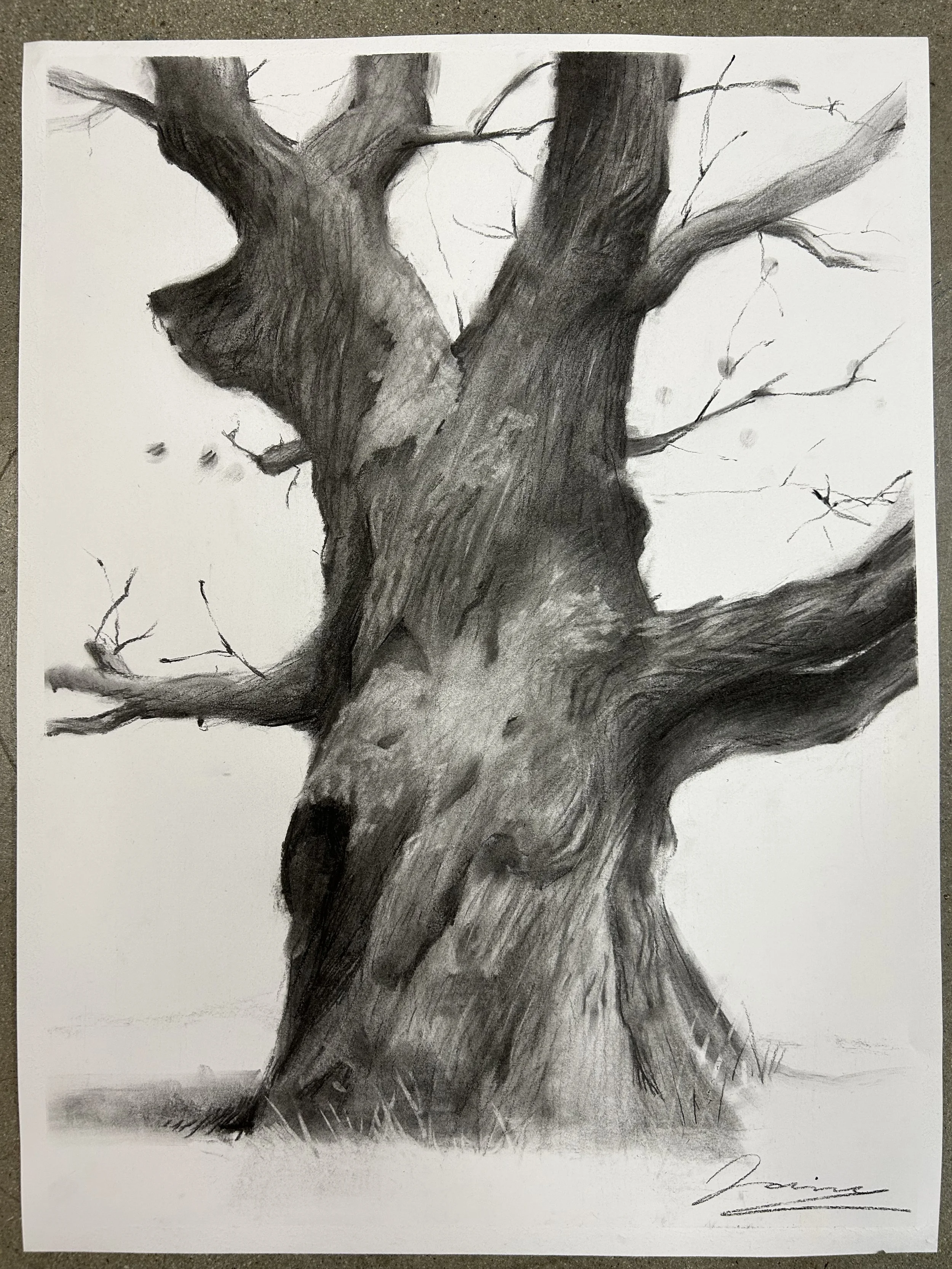 KakaoTalk_Photo_2024-01-24-17-20-54 005.jpeg