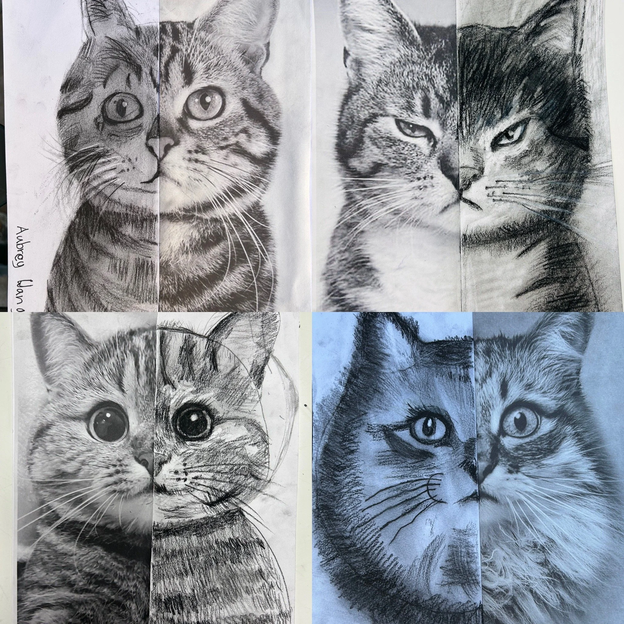 KakaoTalk_Photo_2024-02-04-13-34-30 007.jpeg