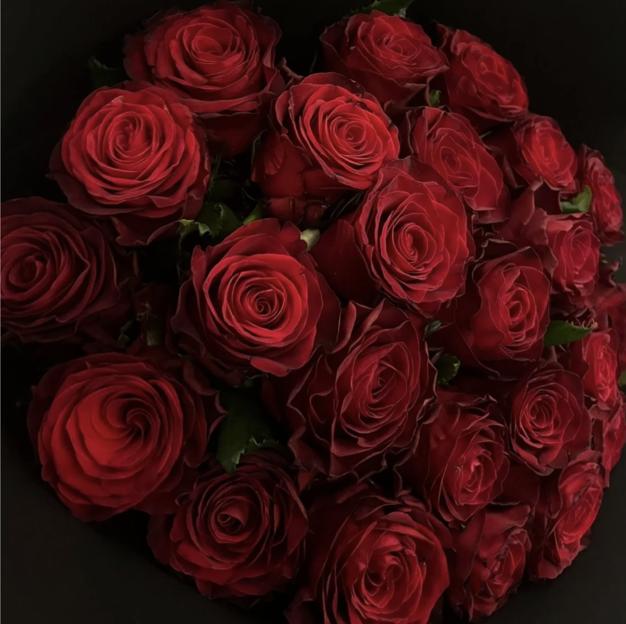 Red Roses En Masse