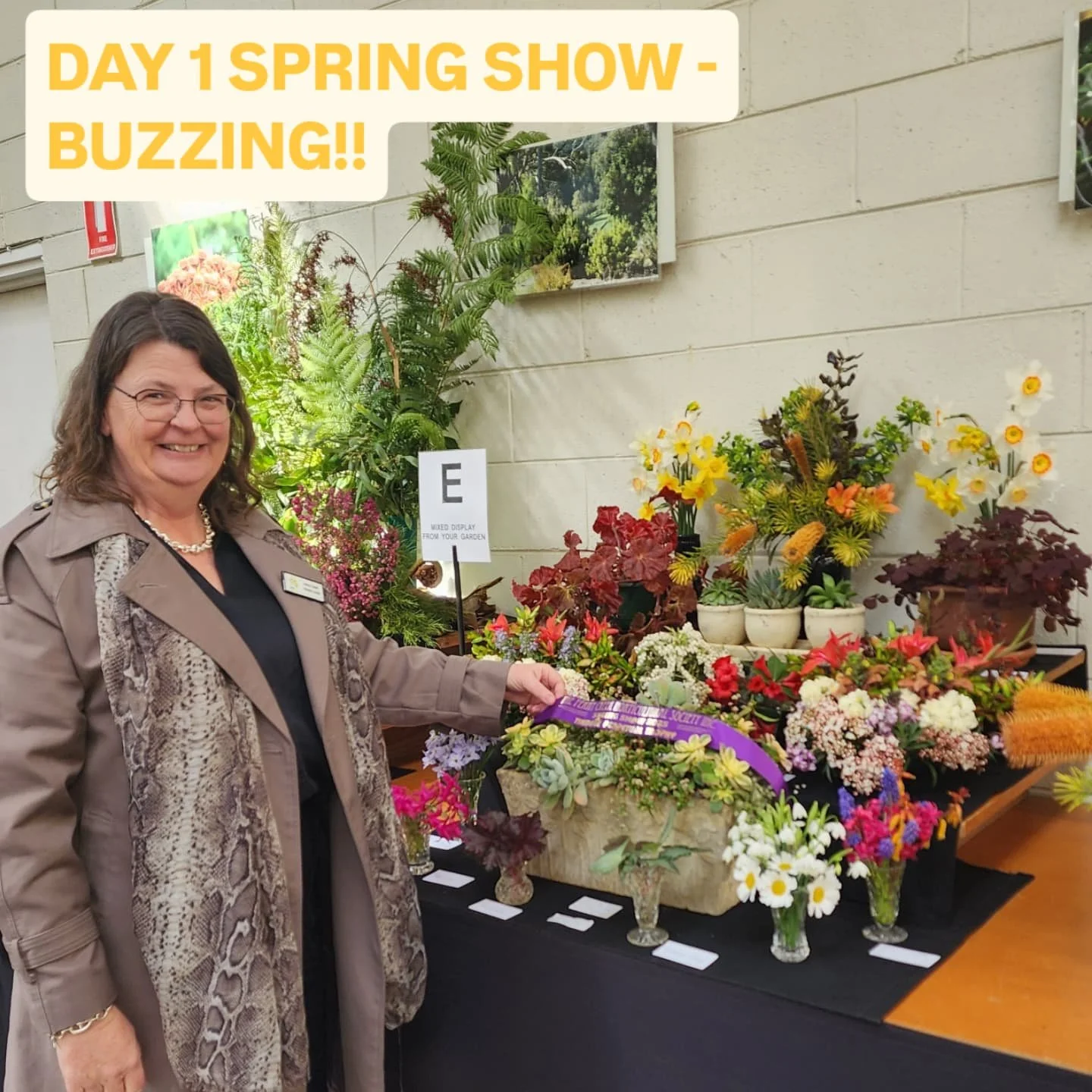 Don't miss out! 

DAY 1 of our show is on now!!

Our Flower Hall will be a breathtaking experience with our floor garden, stunning daffodils, camellias, natives, hanging and indoor plants, rock garden and alpine plants, bonsai, rhododendrons, our won