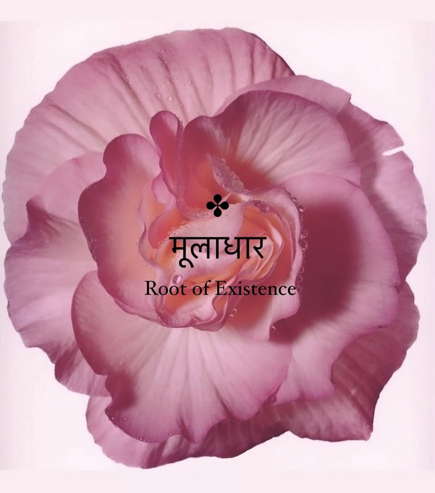 。゜✿ฺ Unlock and transcend ✿ฺ ゜。

:: Root of Existence - Pelvic Floor Peace and Power ::

The pelvic floor forms the grounded base of our being and our Earth connection. 
Playing an essential role in vital functions like breathing, moving and feeling 