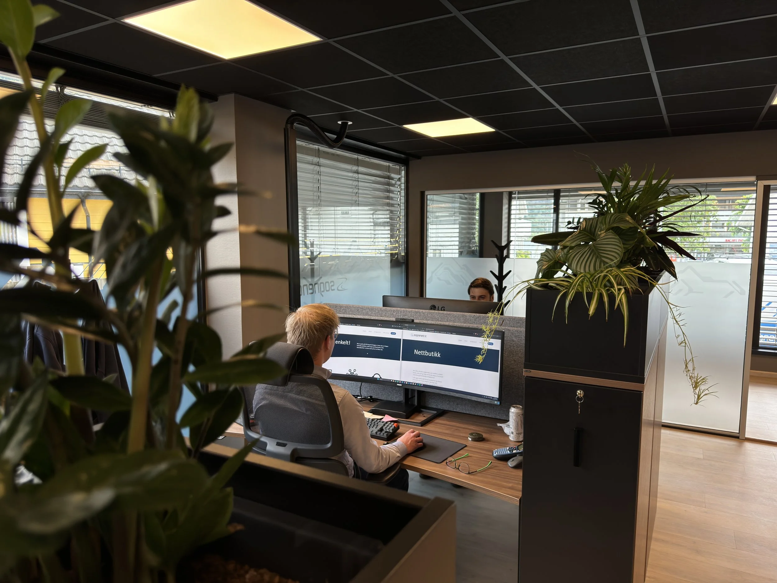 Sognenett og Sognenett IT blir eitt selskap