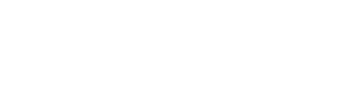 Sognenett
