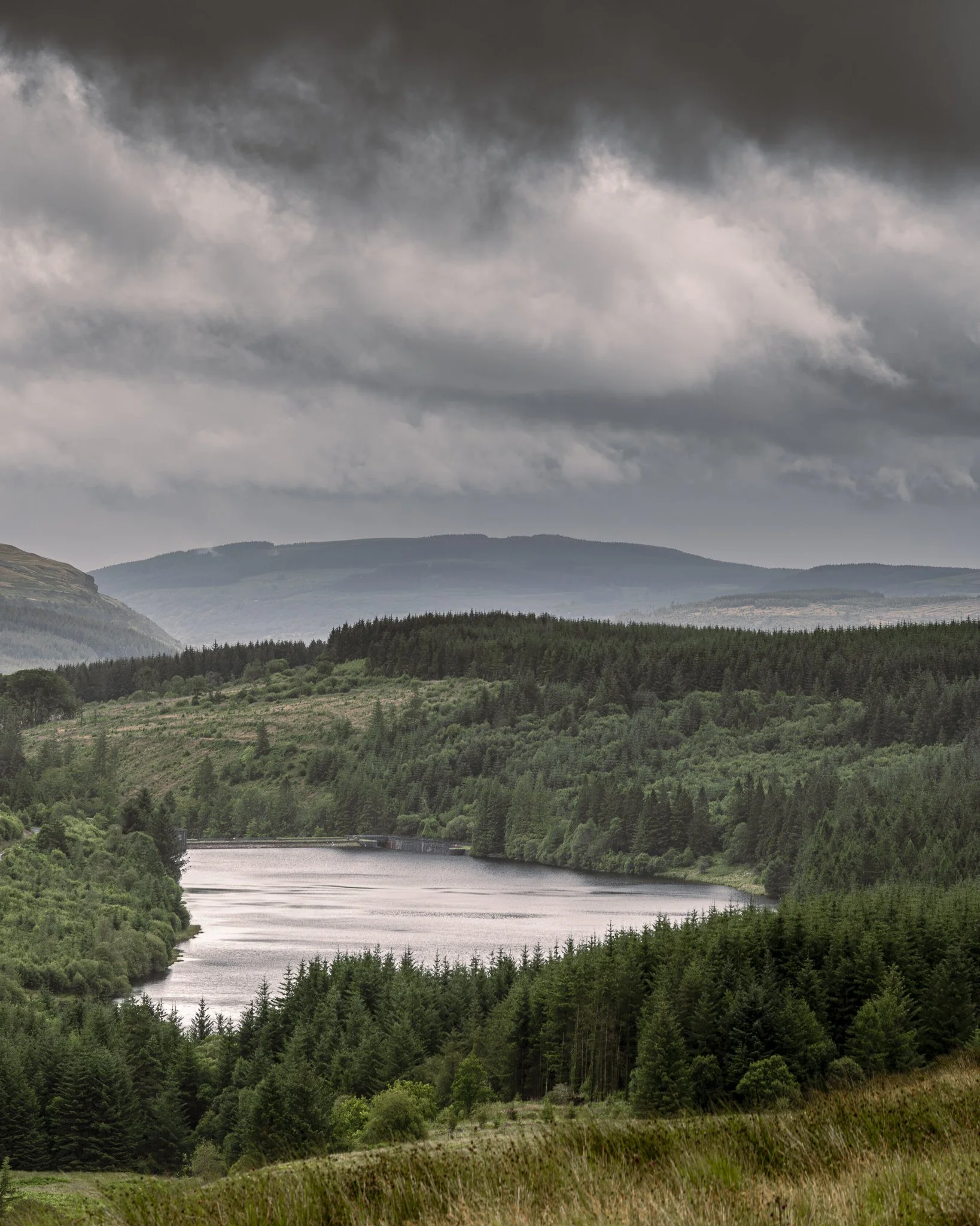 A scenic landscape of a river flowing through a lush green valley surrounded by forested hills and mountains under a cloudy sky.