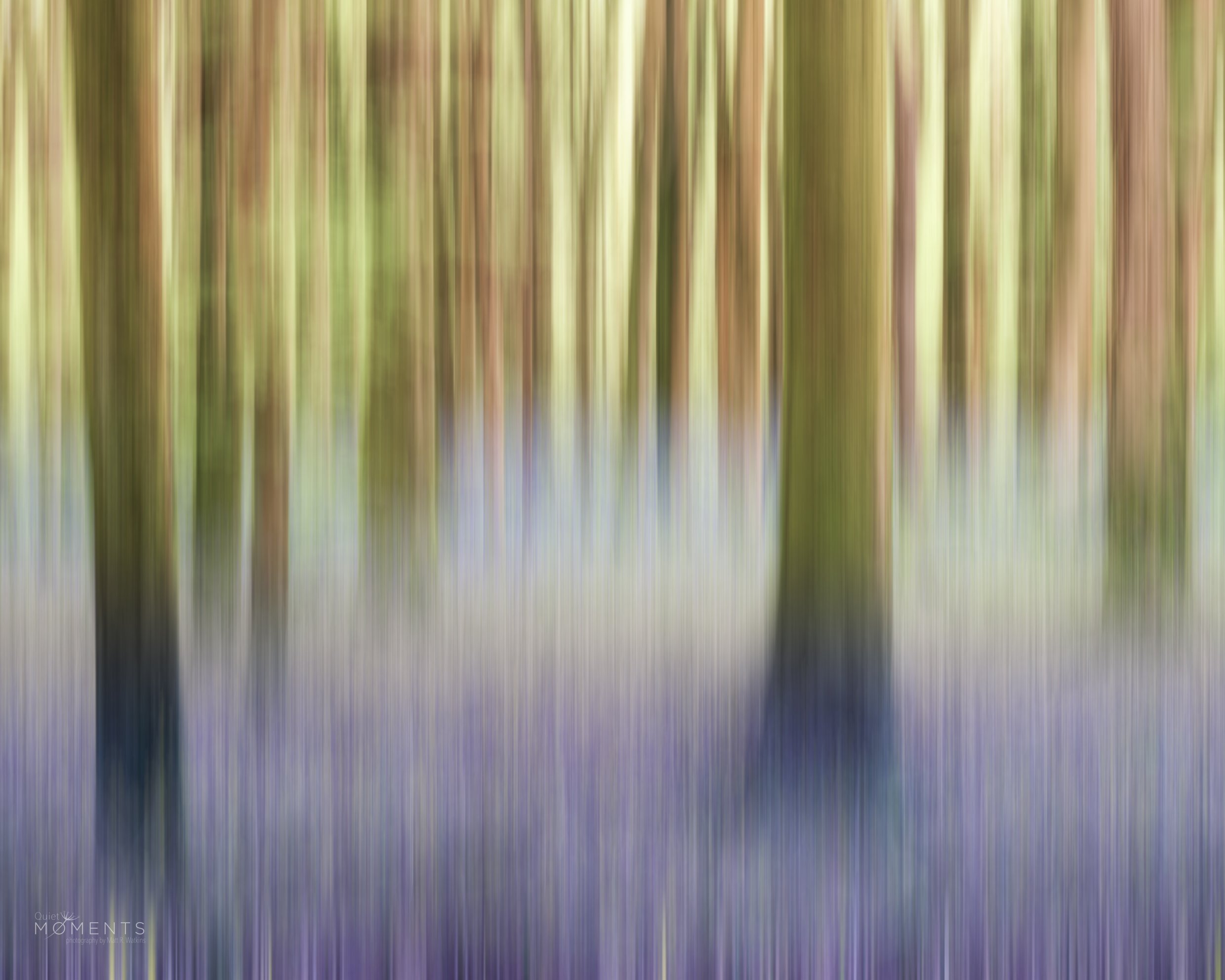 MRW_6206-Edit-2-Edit-Edit.jpg