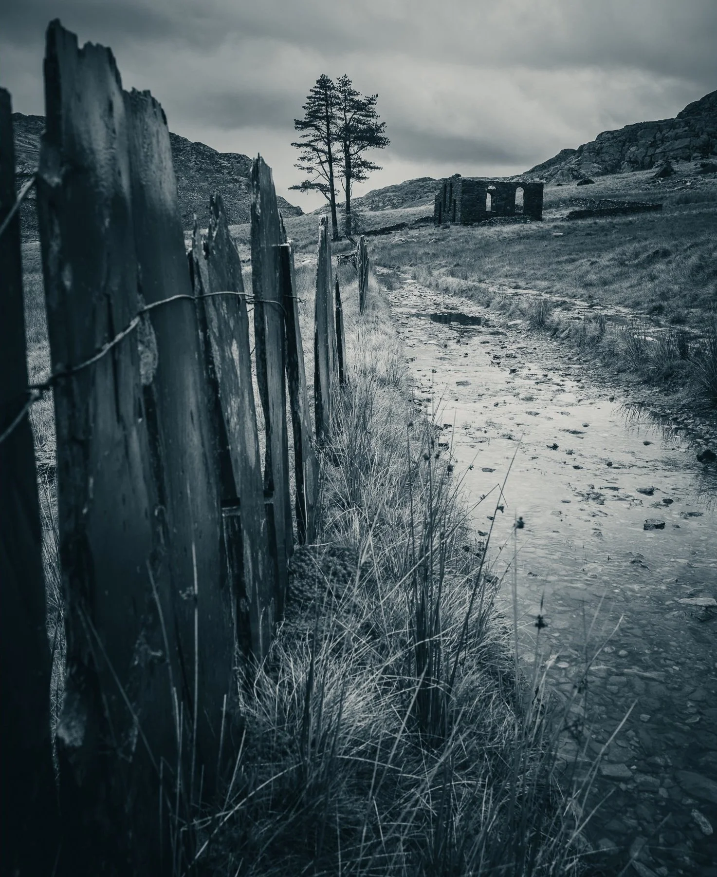qmphoto00033.jpg