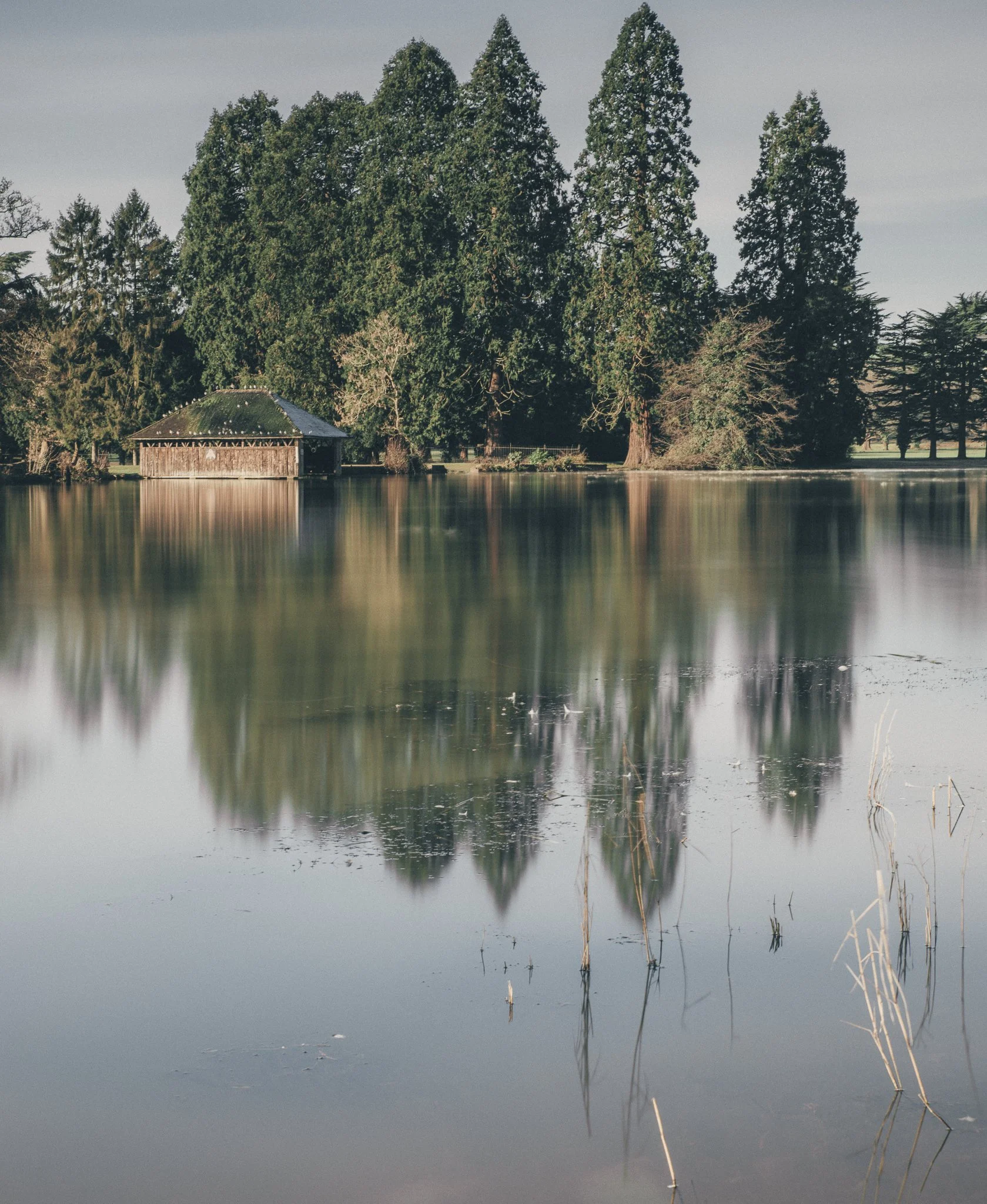 Calm lake reflecting a small boathouse and tall evergreen trees on the shoreline, with a cloudy sky overhead.