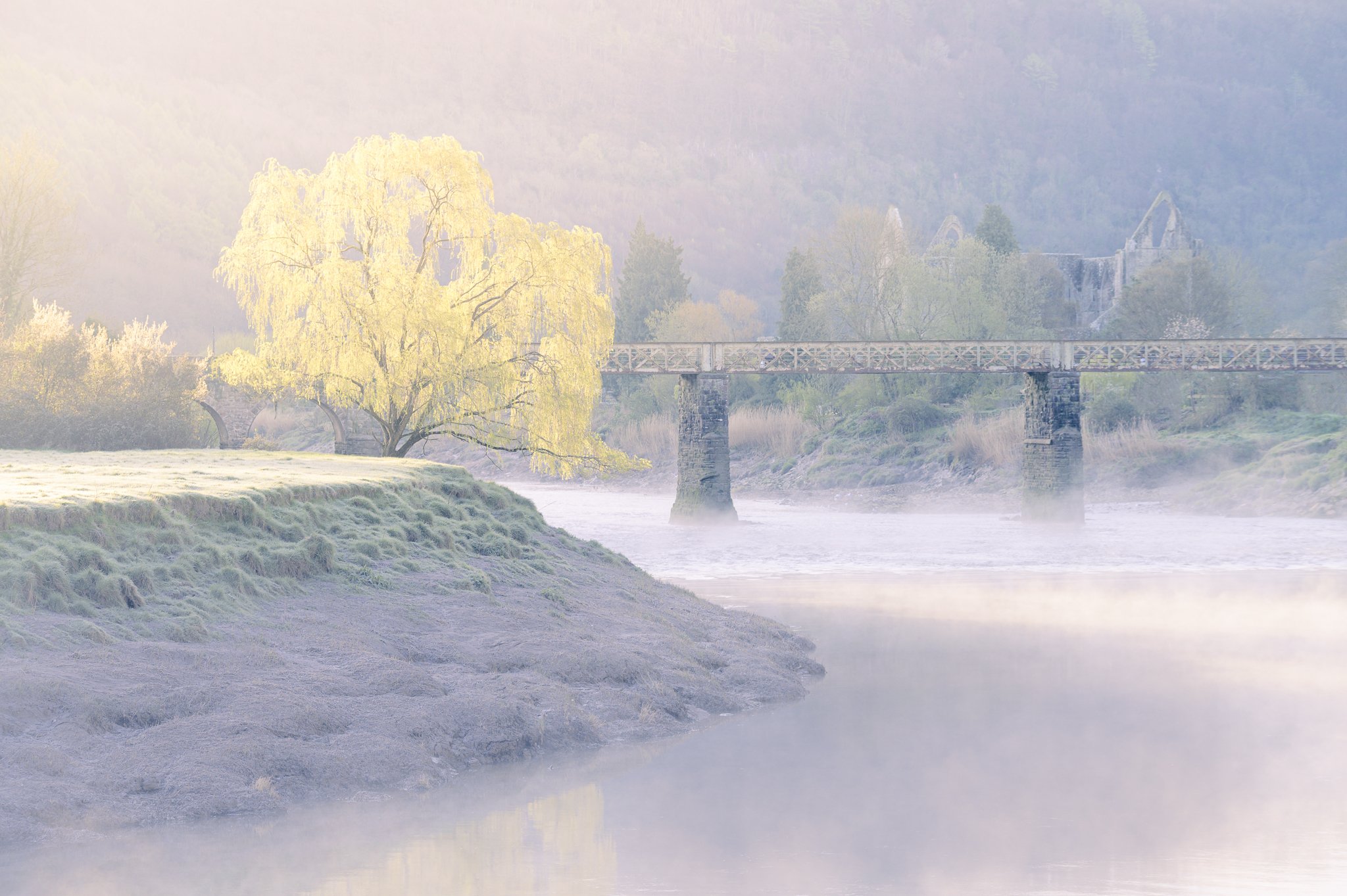 A foggy landscape featuring a river with mist rising from the water, a grassy bank with moss, a large leafless tree with yellow leaves, and a bridge with stone supports crossing the river. In the background, hills and a waterfall are visible through 