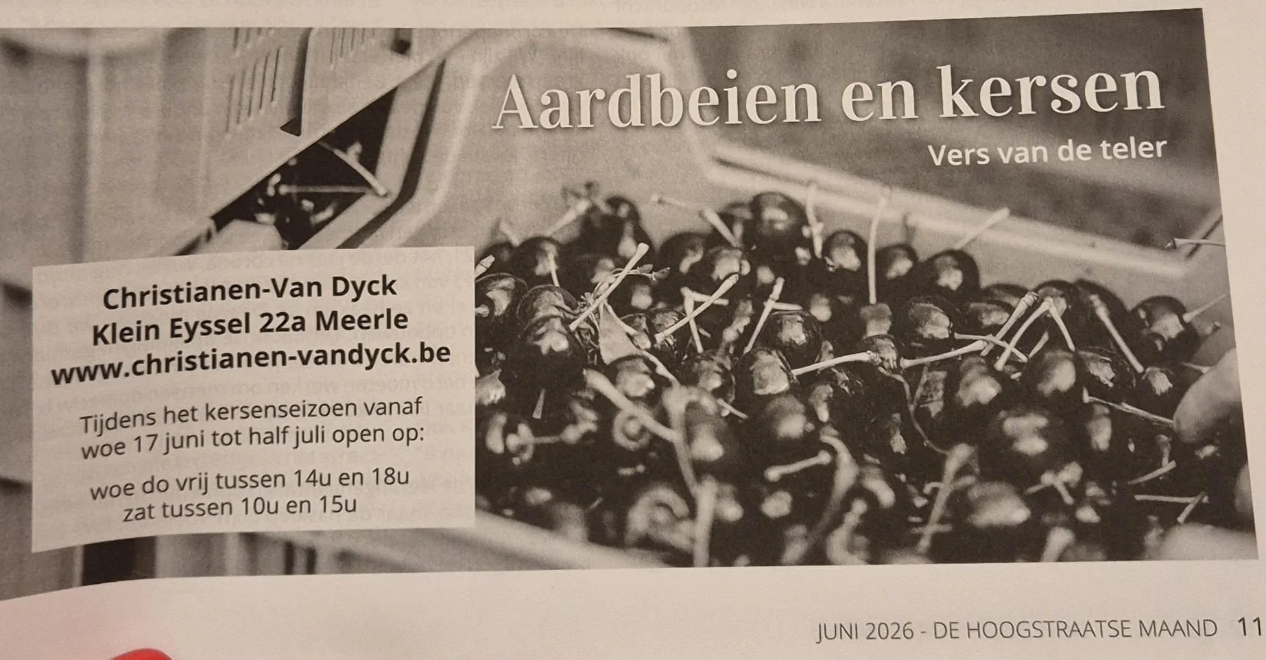 Bijna tijd voor onze eerste oogst!